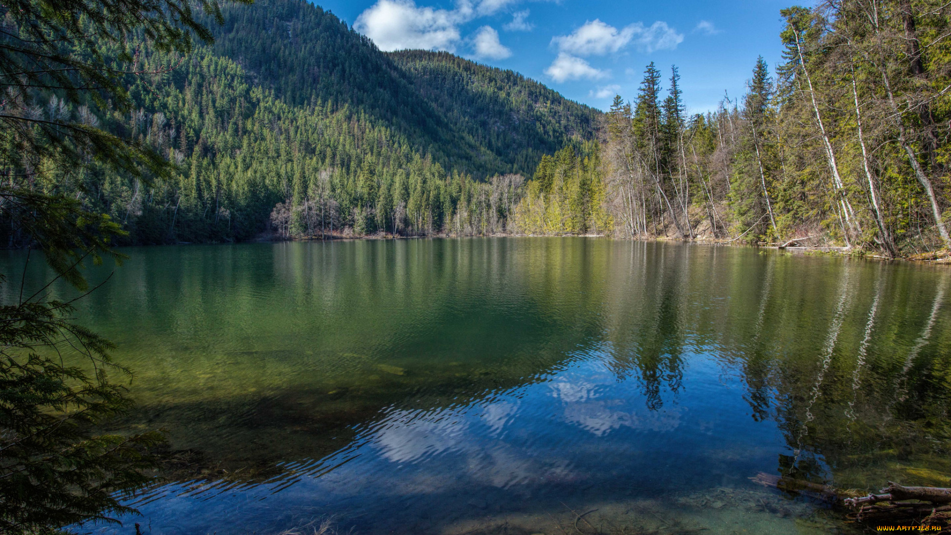 природа, реки, озера, лес, горы, река