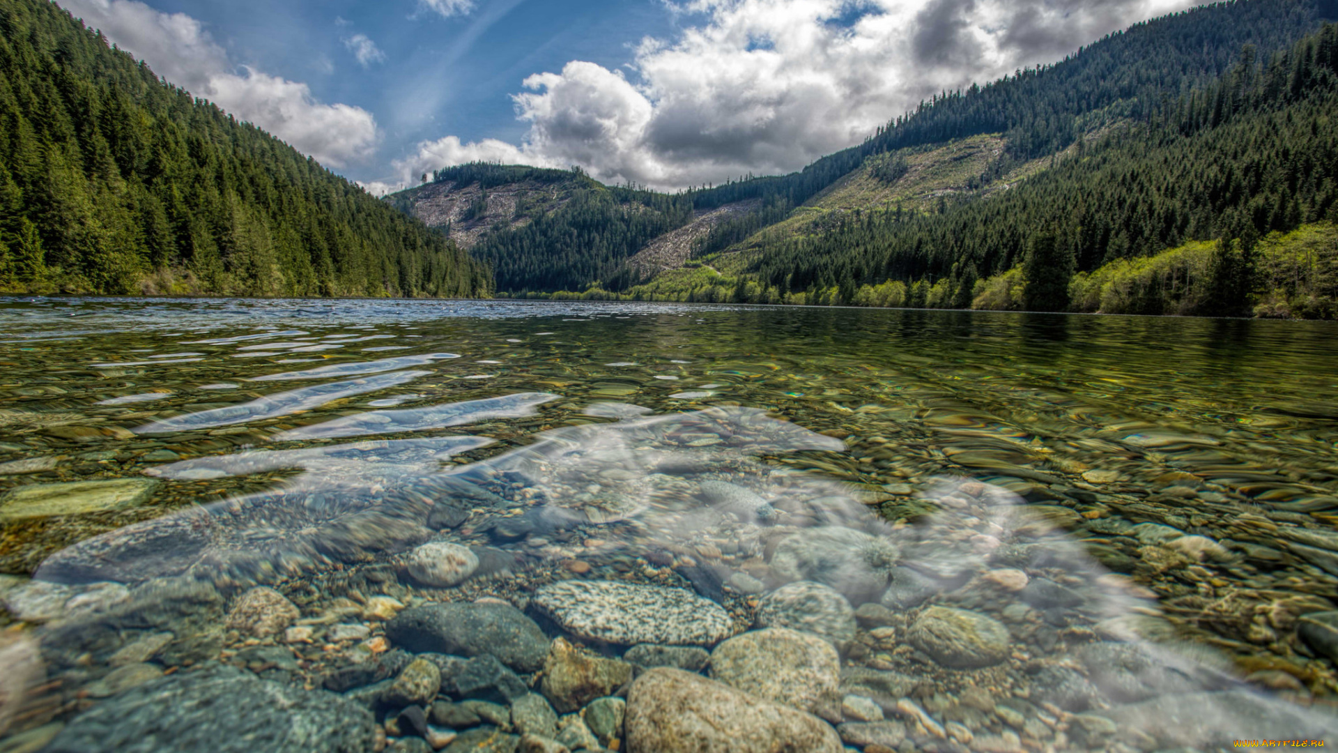 природа, реки, озера, лес, горы, река