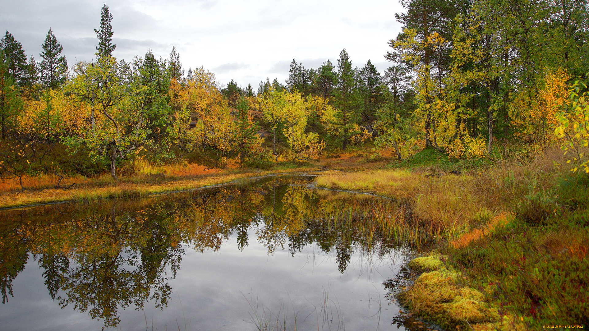 природа, реки, озера, лес, осень, река