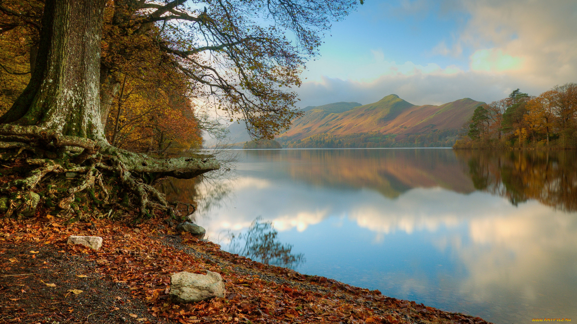 природа, реки, озера, лес, река