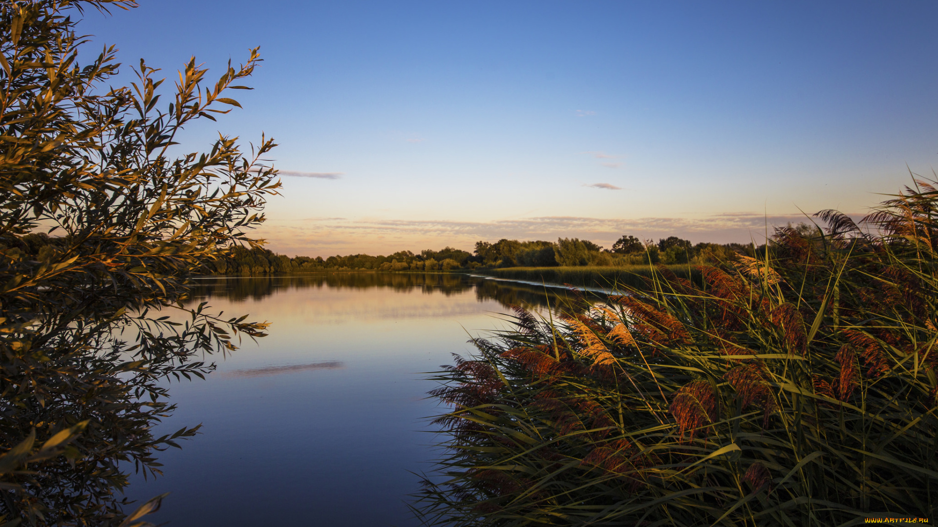 природа, реки, озера, лес, река