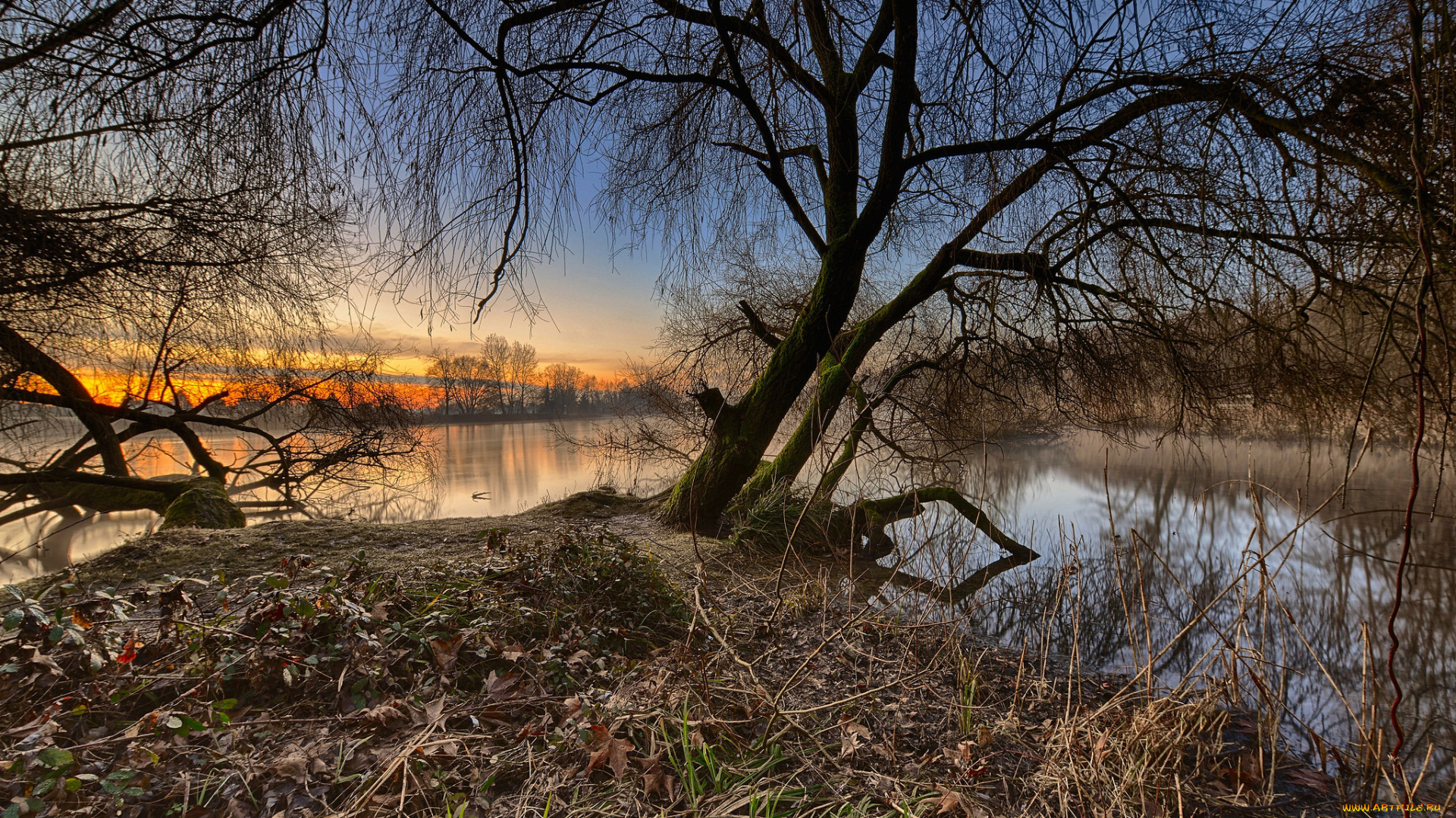 природа, реки, озера, лес, река