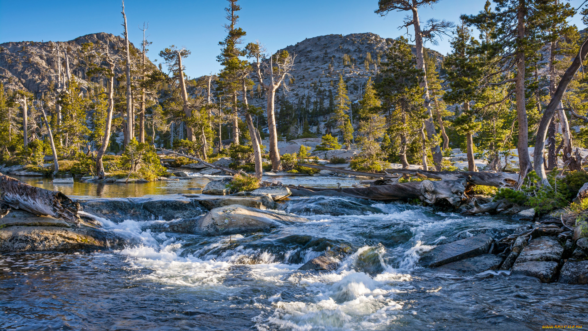 природа, реки, озера, лес, река, горы