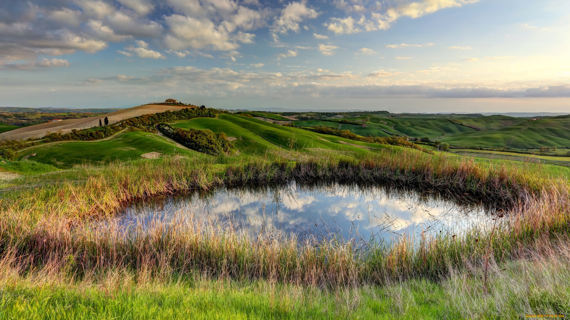 природа, реки, озера, поле, прудик