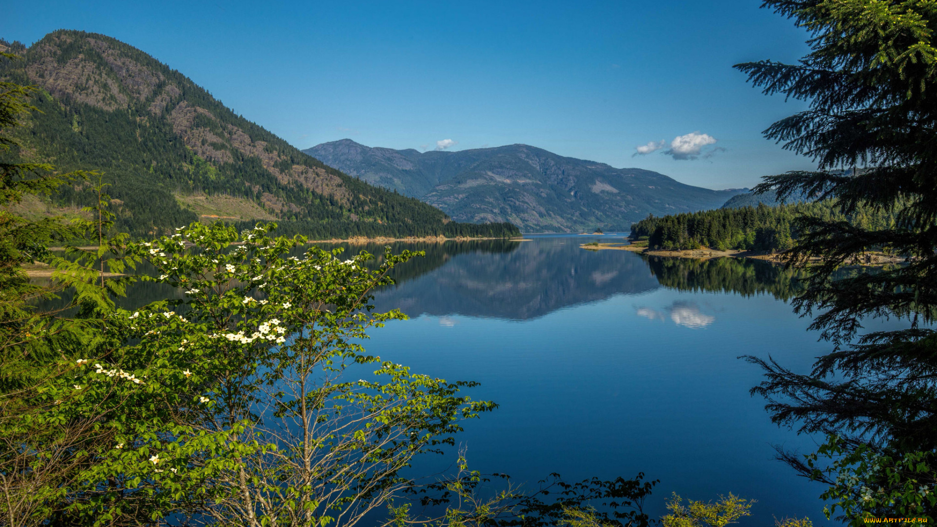 природа, реки, озера, река, горы, лес