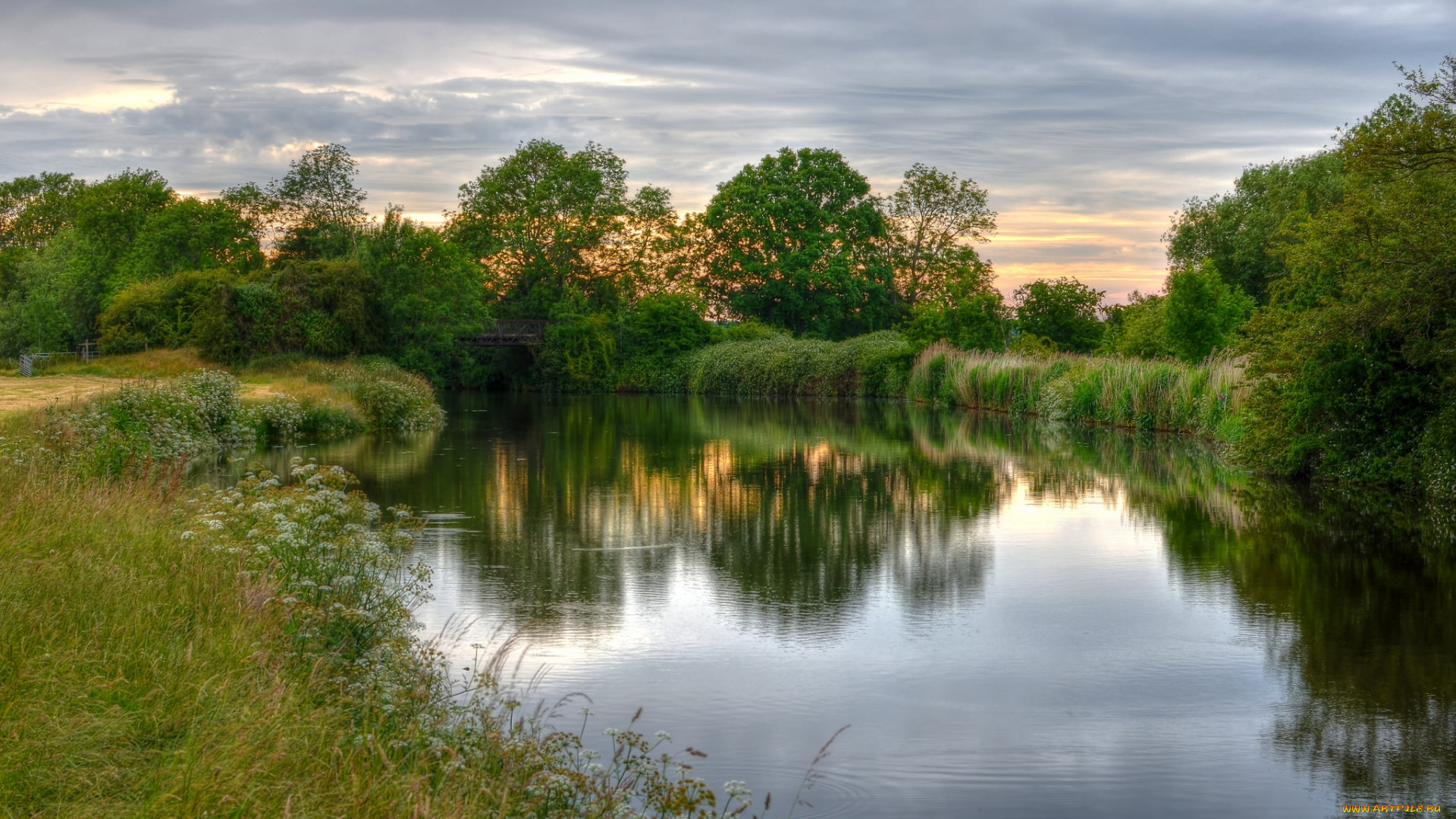 природа, реки, озера, река, лес