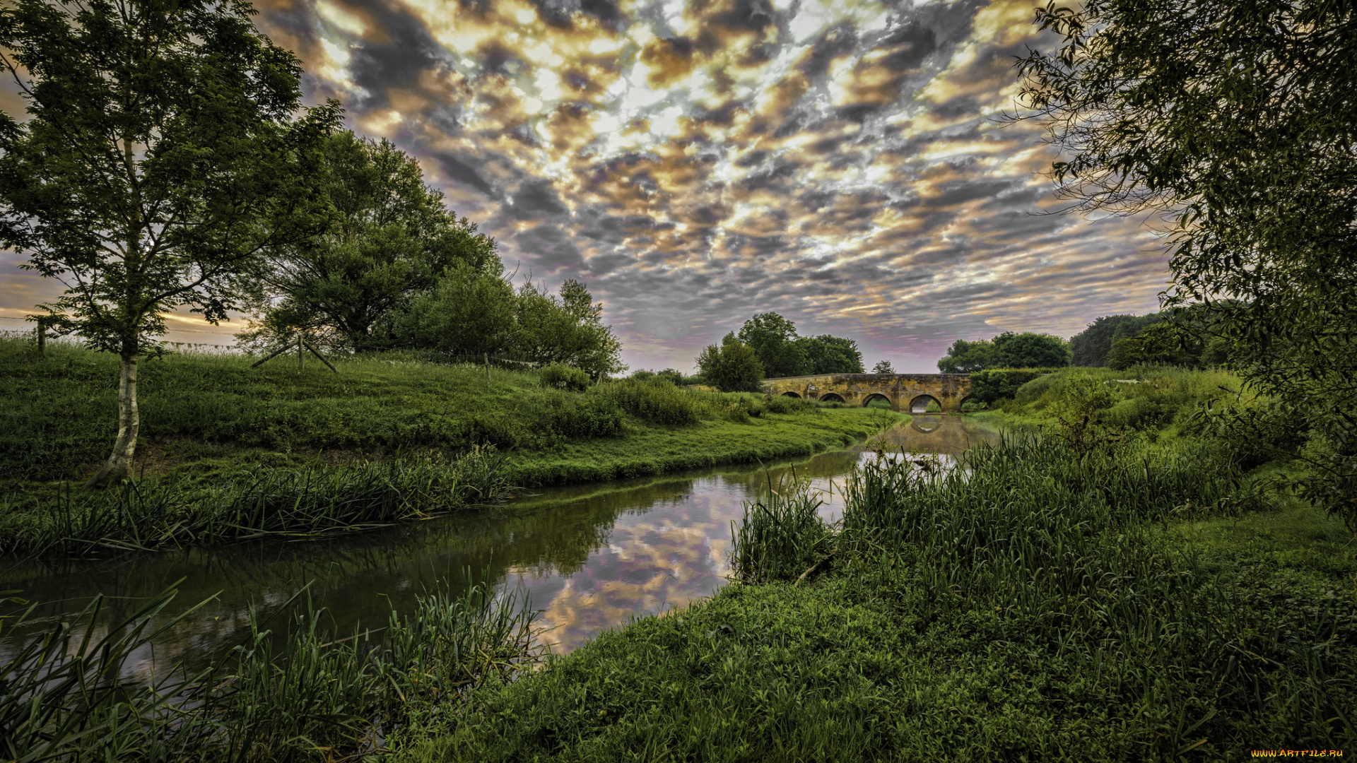 природа, реки, озера, река, лес