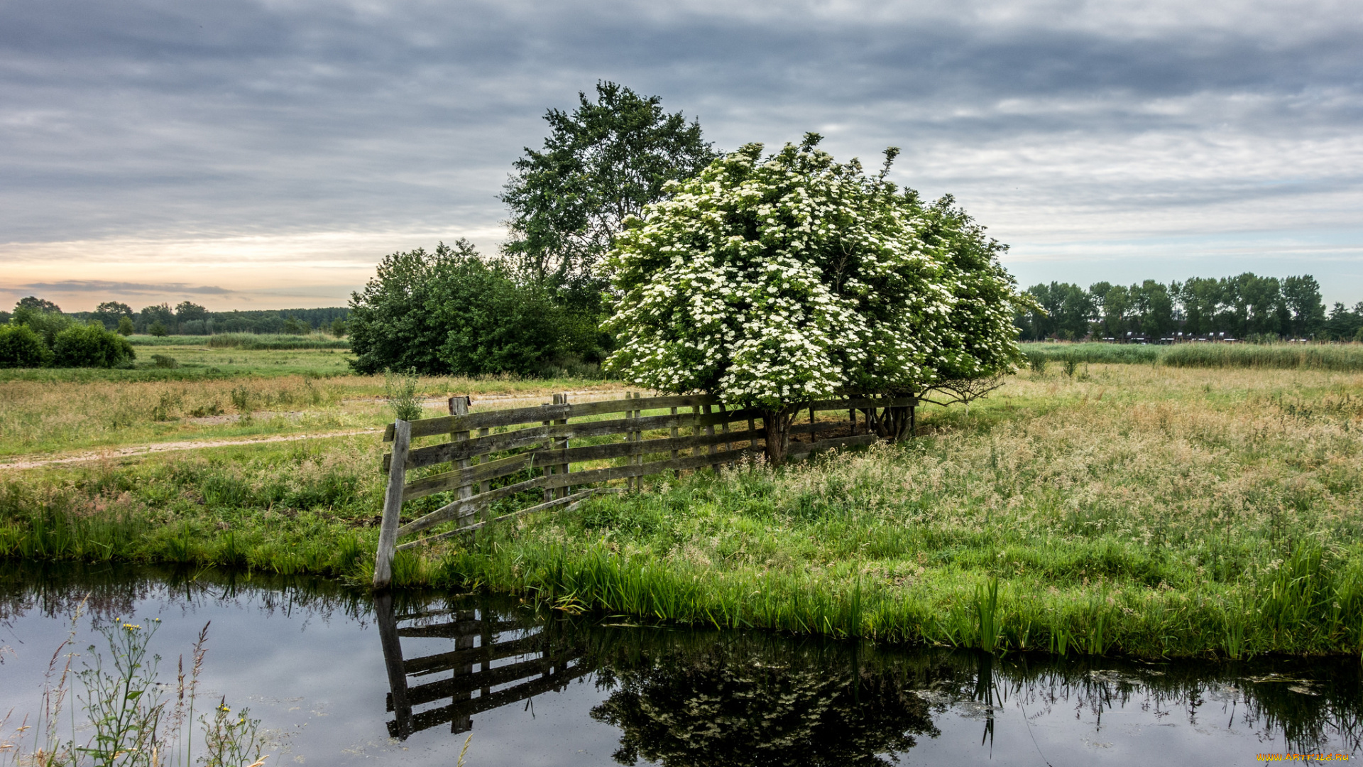 природа, реки, озера, река, лес