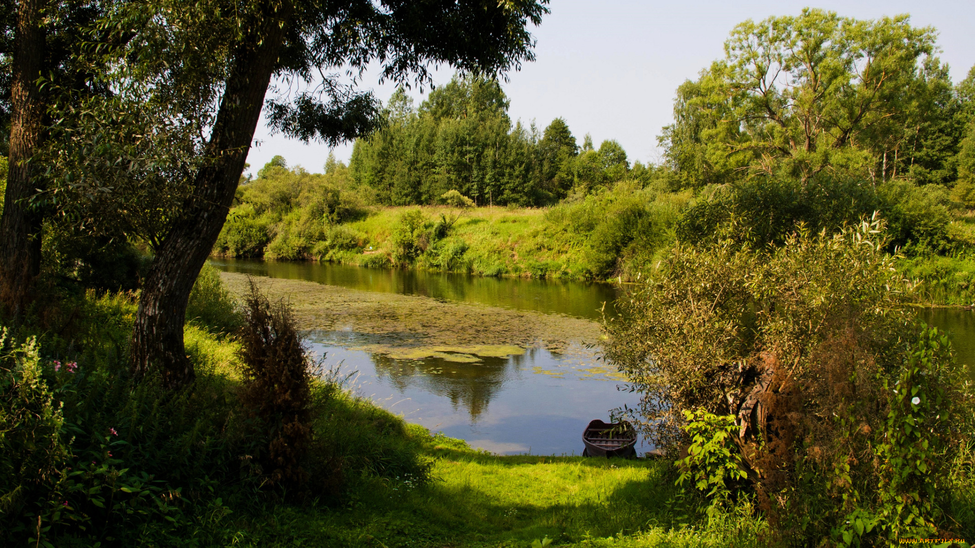 природа, реки, озера, река, лес