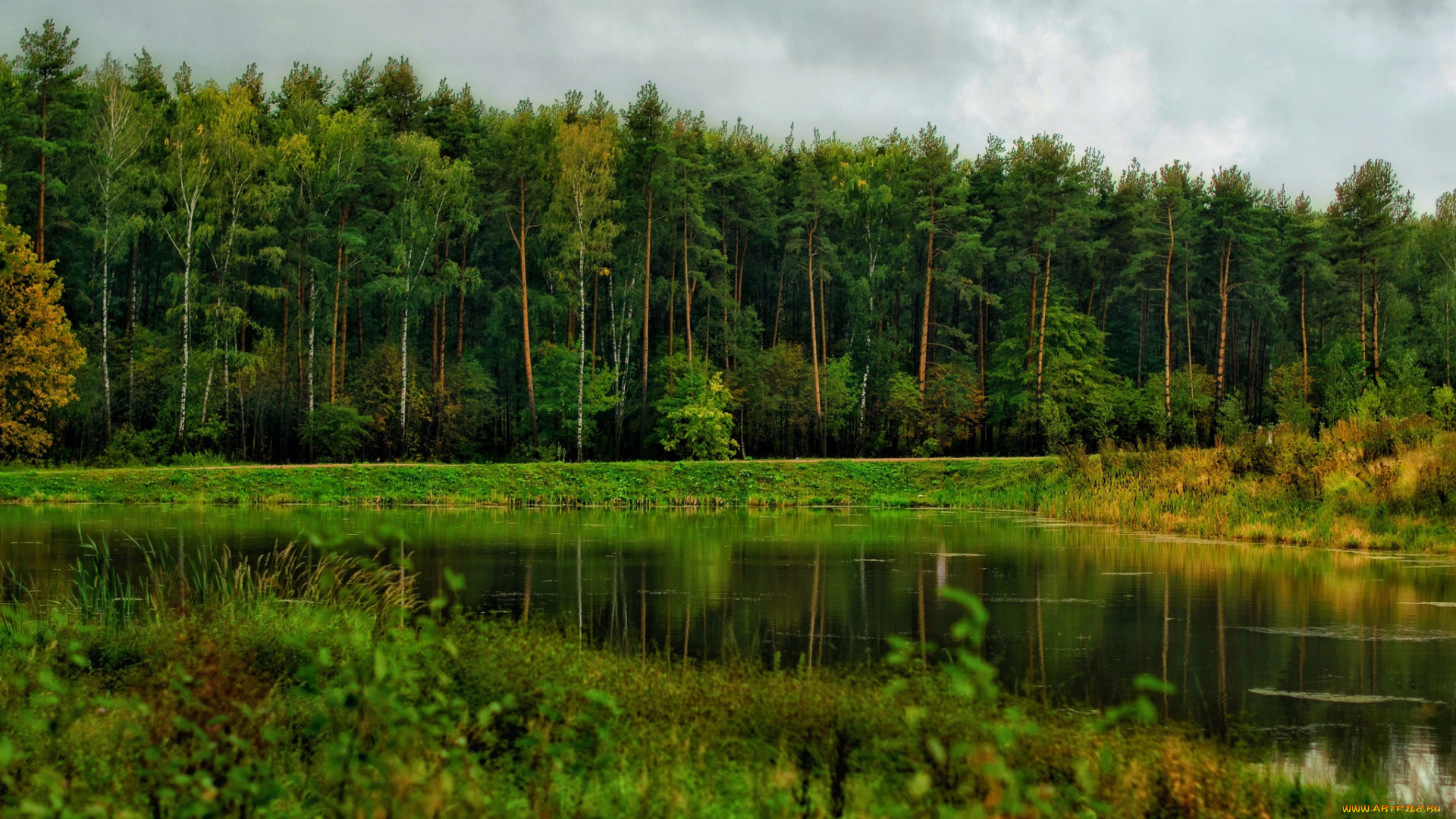 природа, реки, озера, река, лес