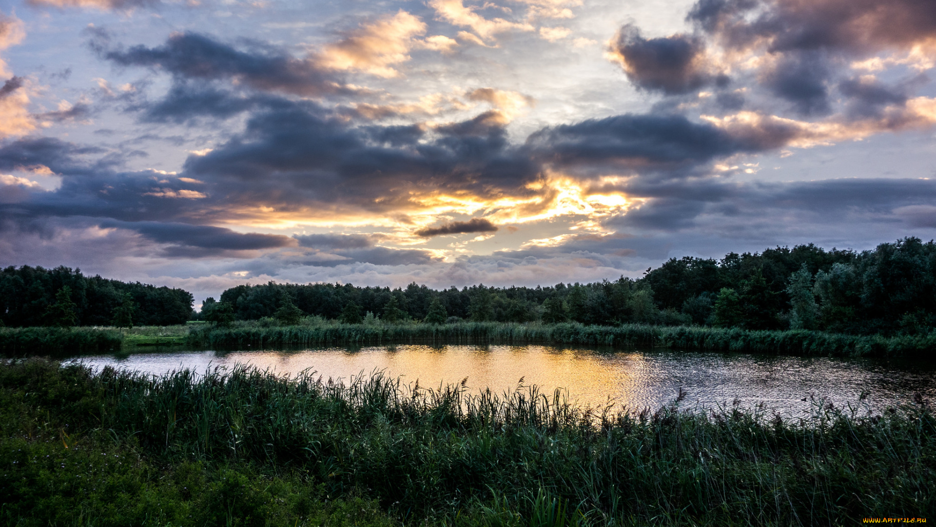 природа, реки, озера, река, лес