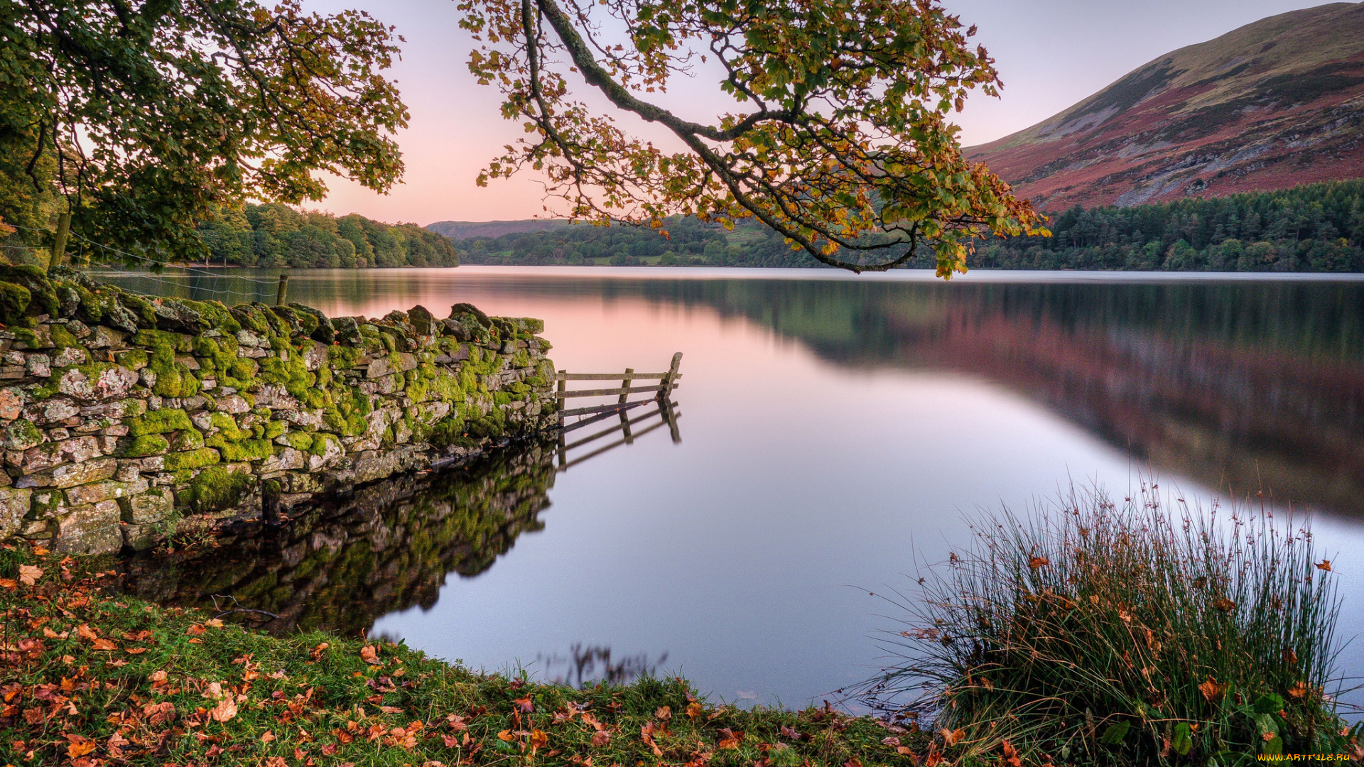 природа, реки, озера, река, лес