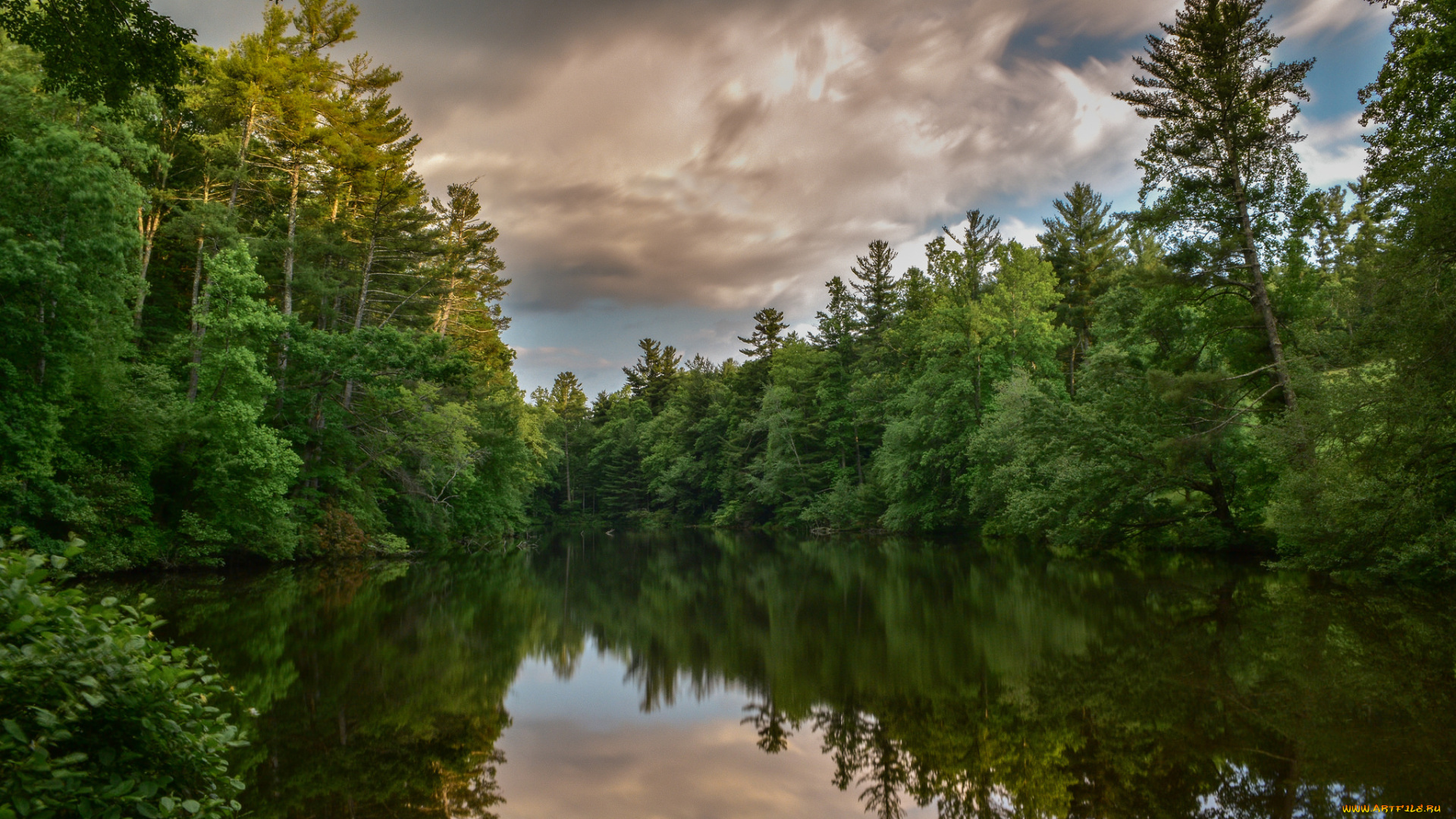 природа, реки, озера, река, лес