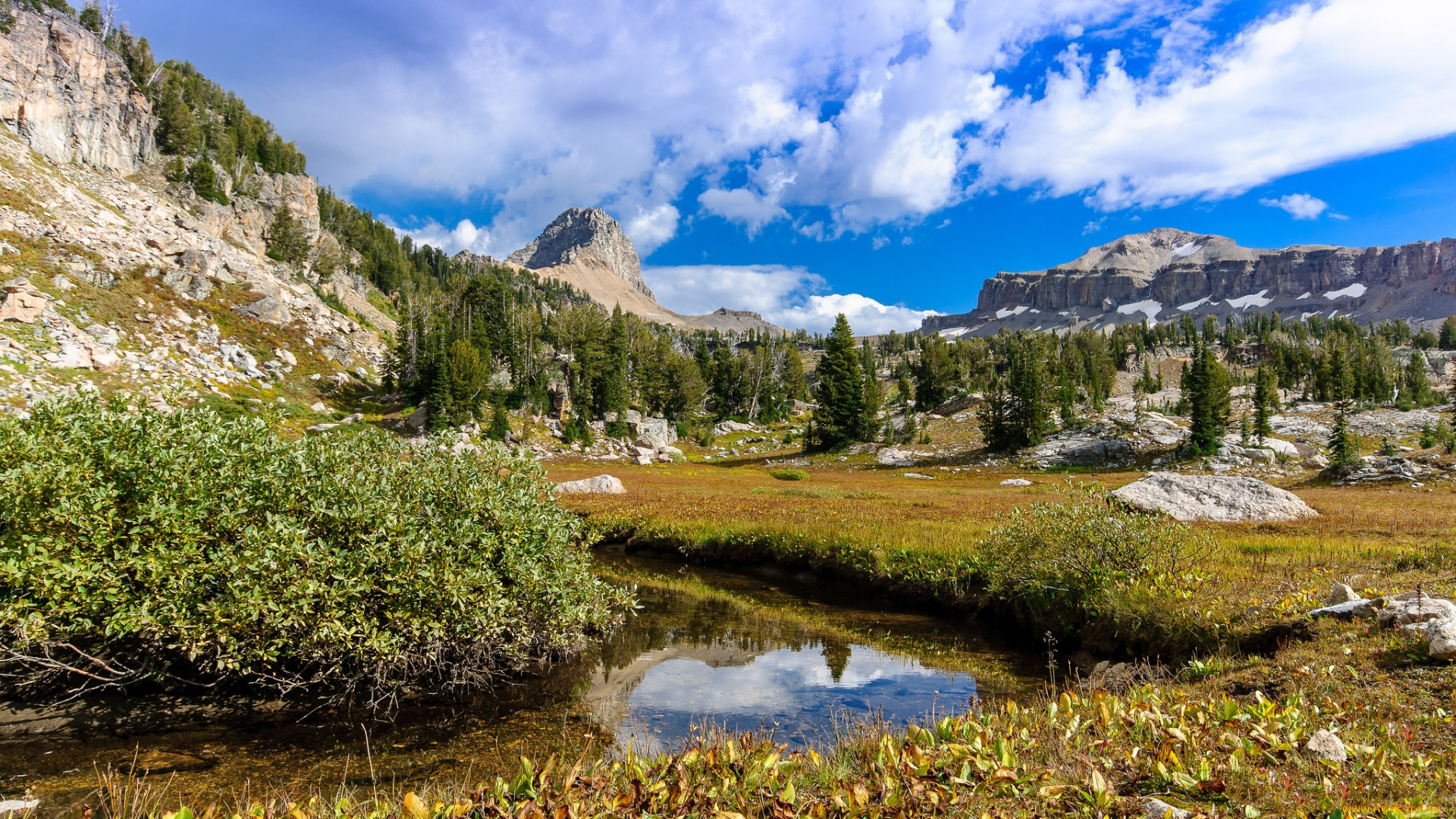 природа, реки, озера, река, лес