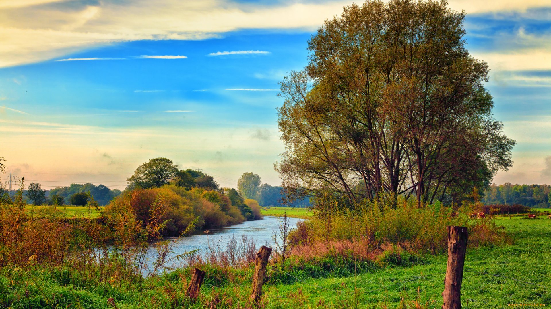 природа, реки, озера, река, лес