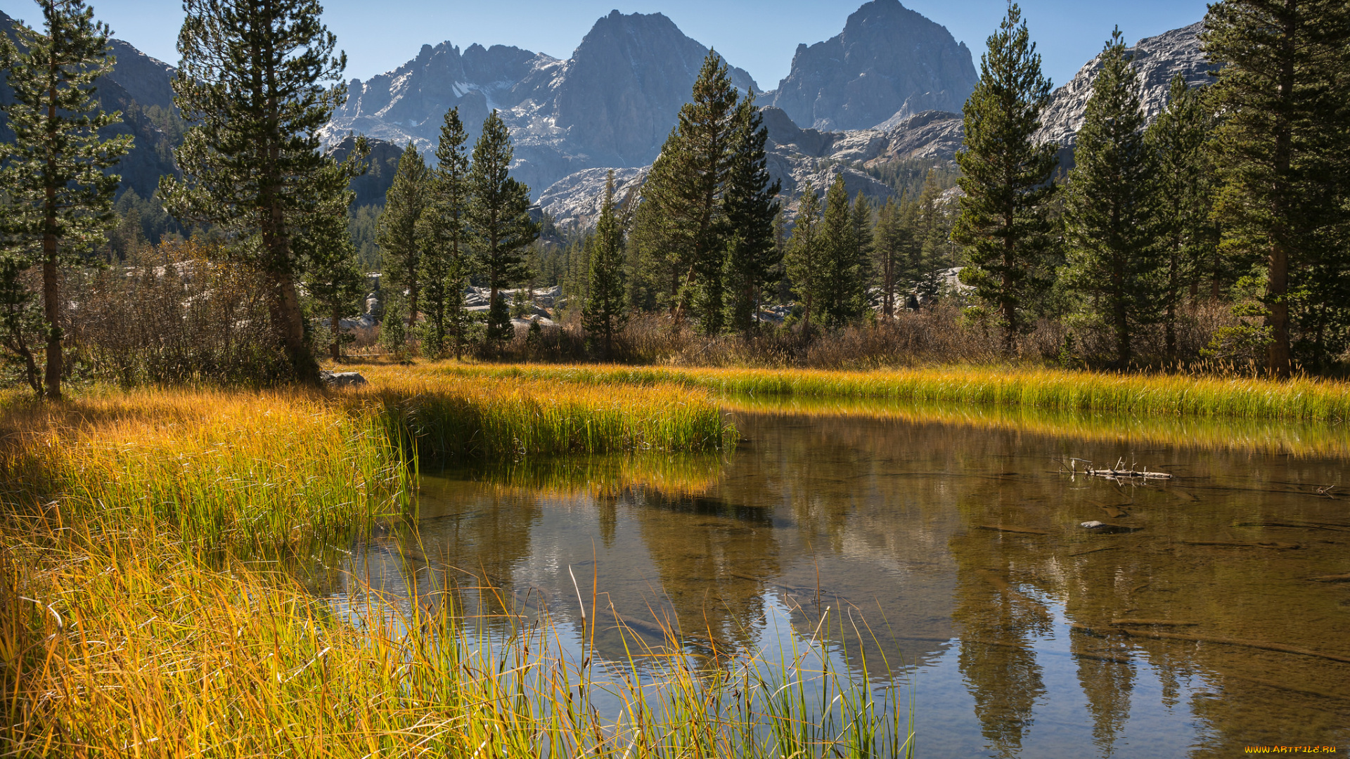 природа, реки, озера, река, лес, горы