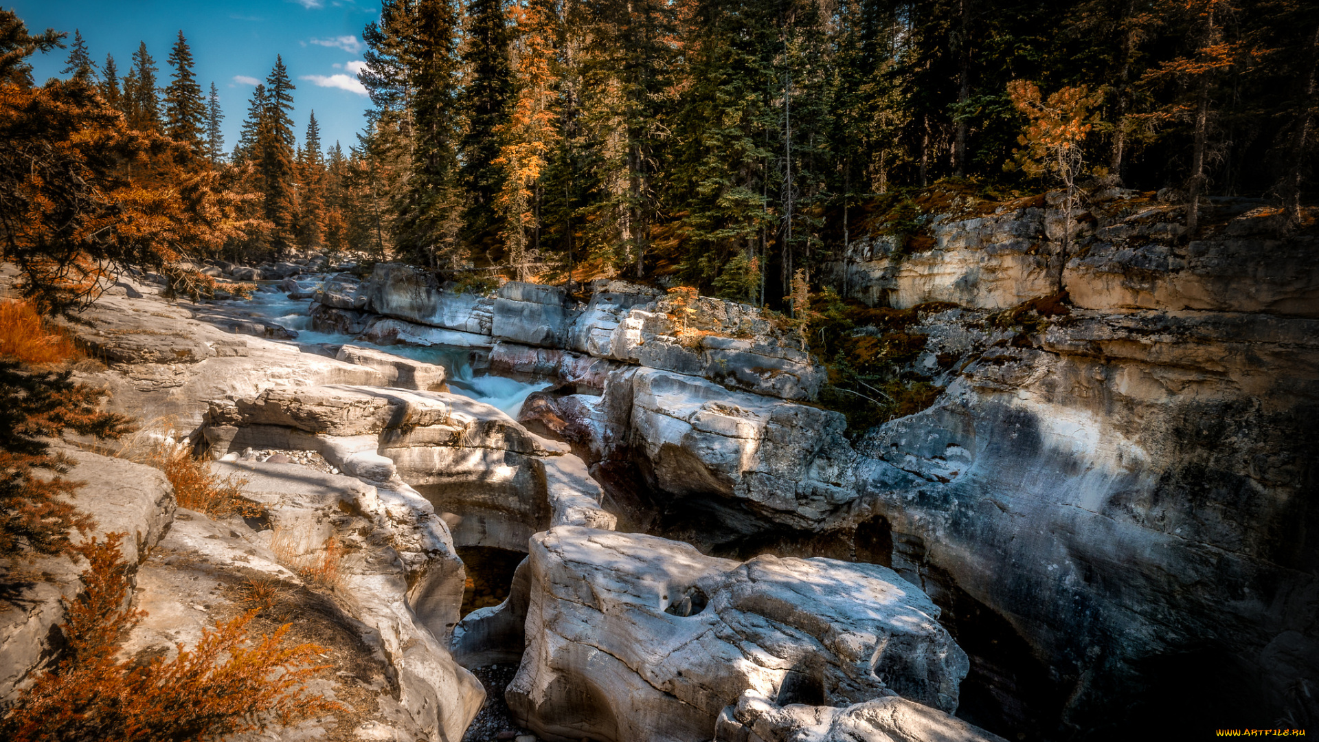 природа, реки, озера, река, лес, горы