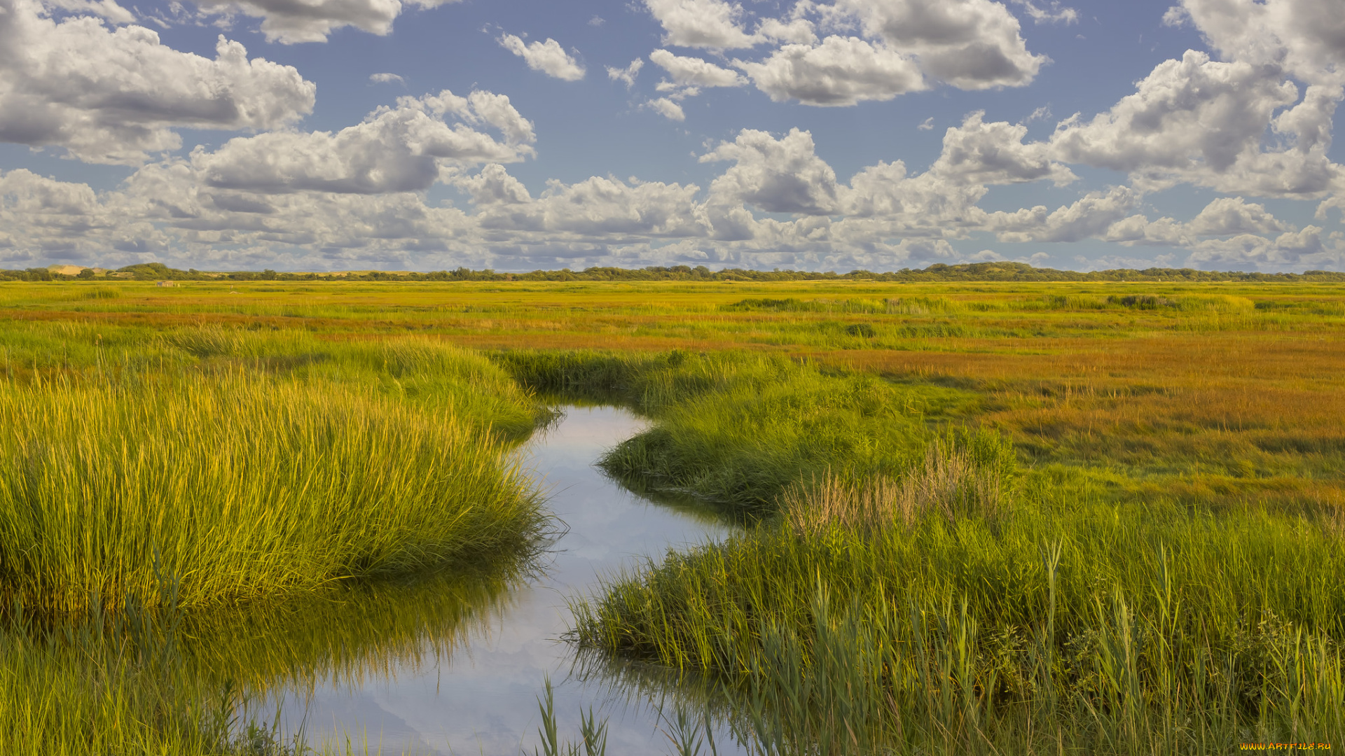 природа, реки, озера, ручей, равнина