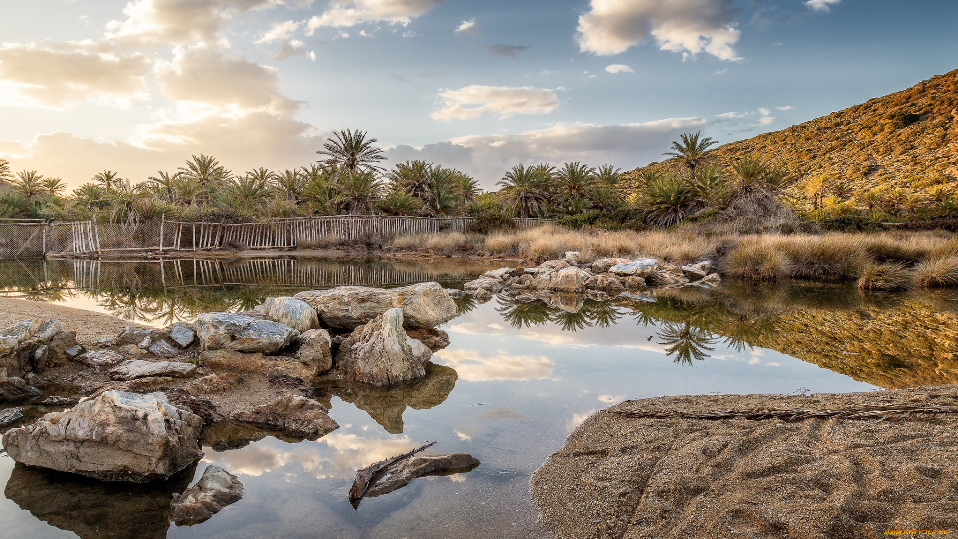 природа, тропики, река, пальмы