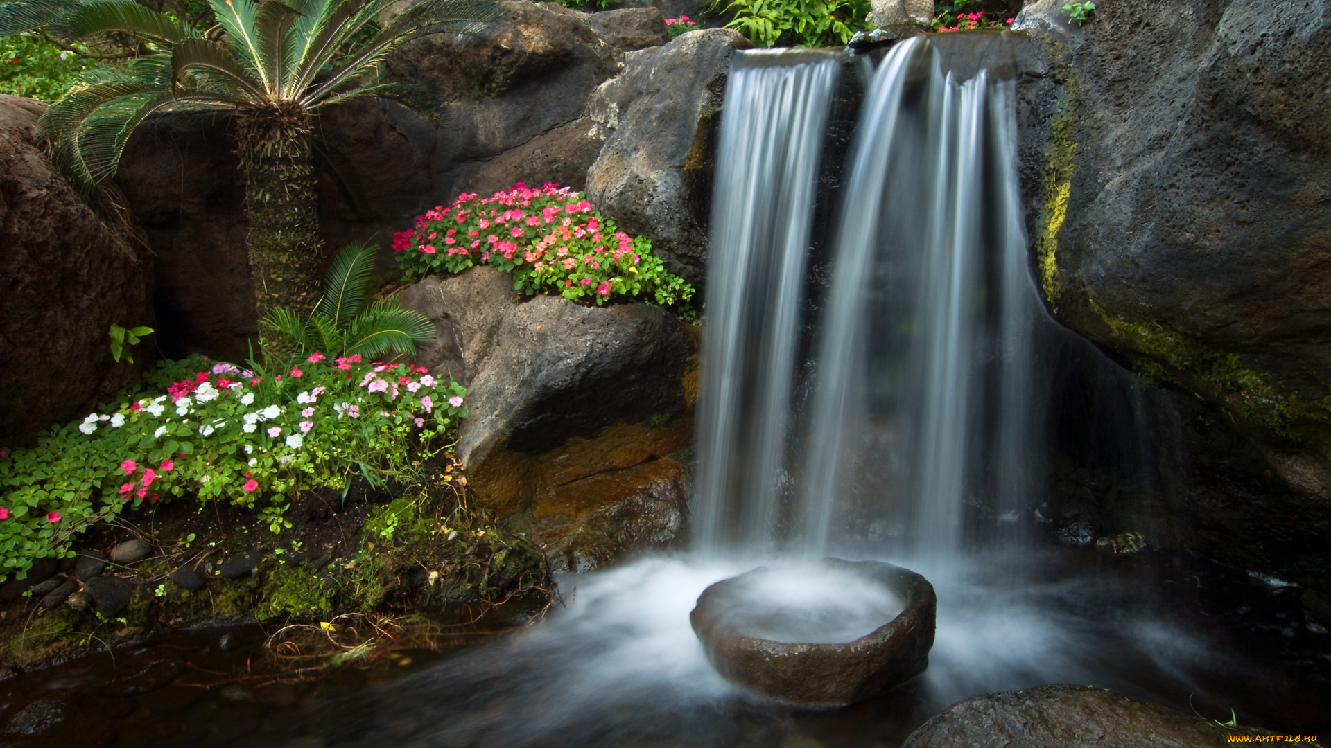природа, водопады, камни, каскад, водопад, ручей, сад, петунья, цветы, пальма