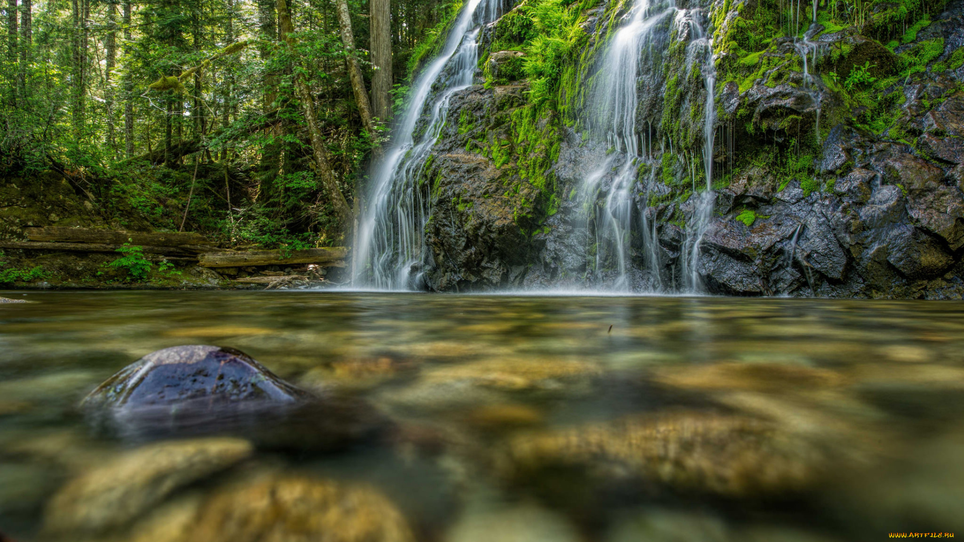 природа, водопады, лес, водопад, река