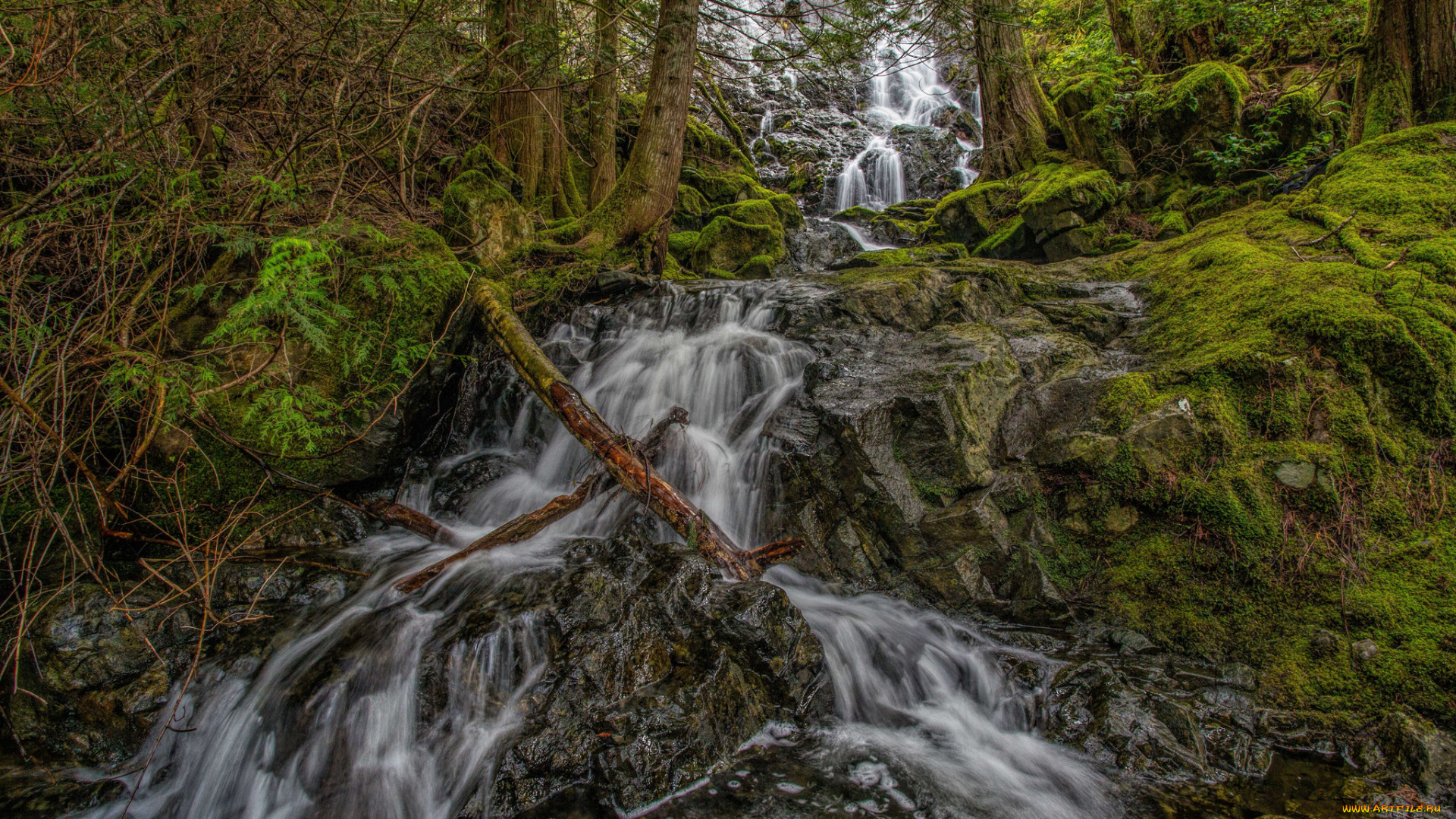 природа, водопады, река, лес, водопад
