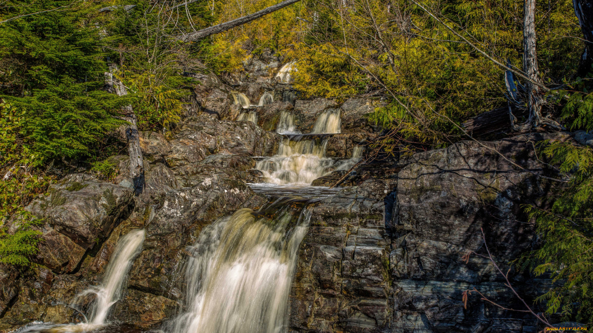 природа, водопады, река, лес, водопад
