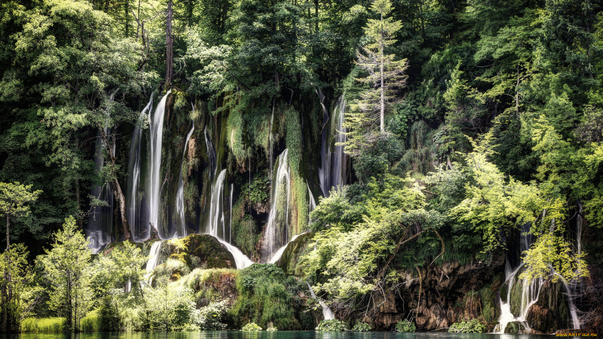 природа, водопады, река, водопад, лес