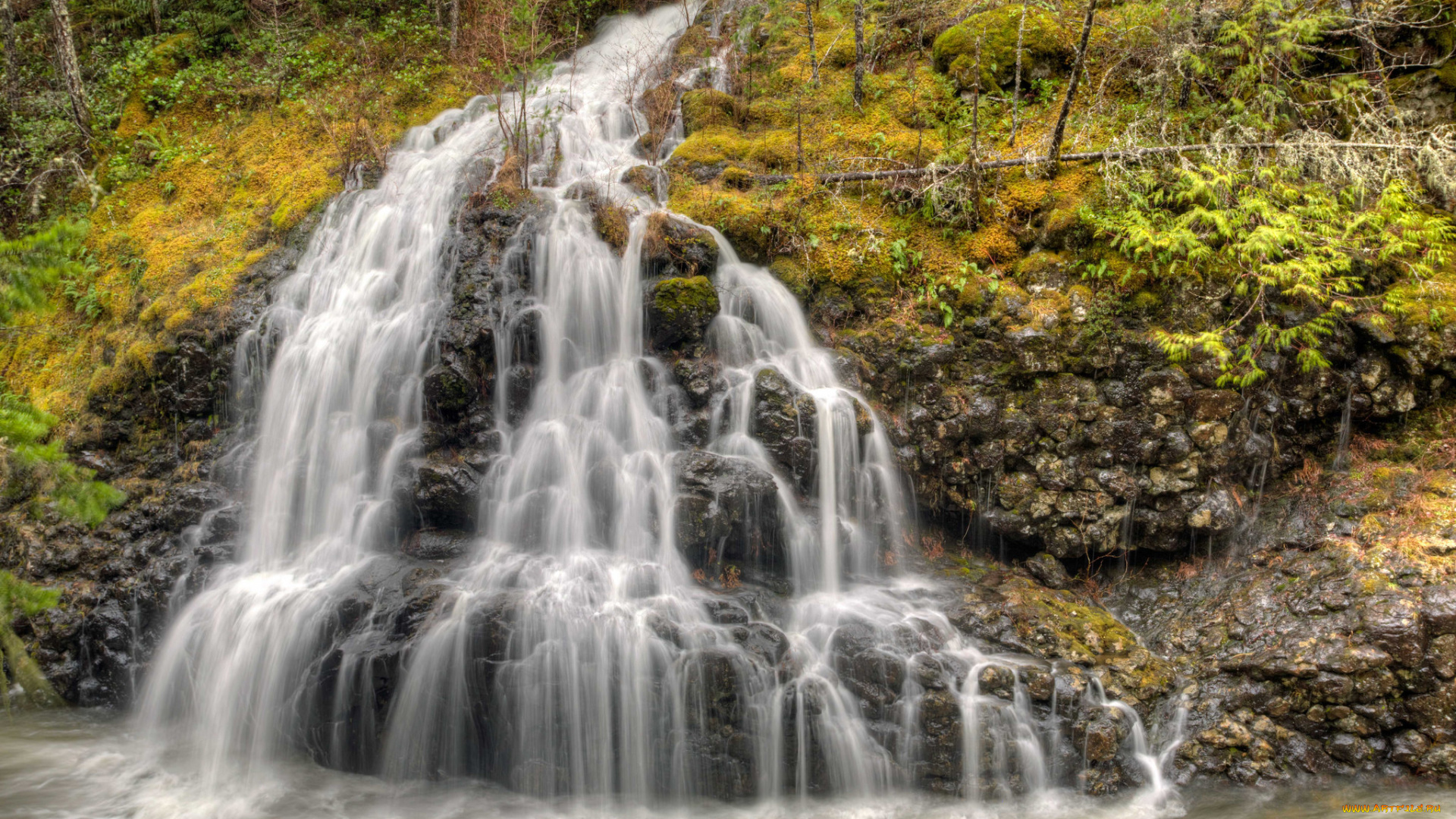 природа, водопады, водопад, лес, река