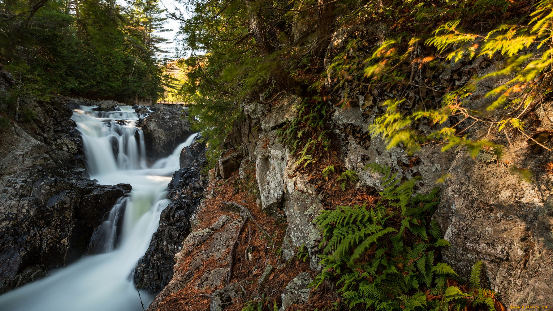 природа, водопады, водопад, река, лес