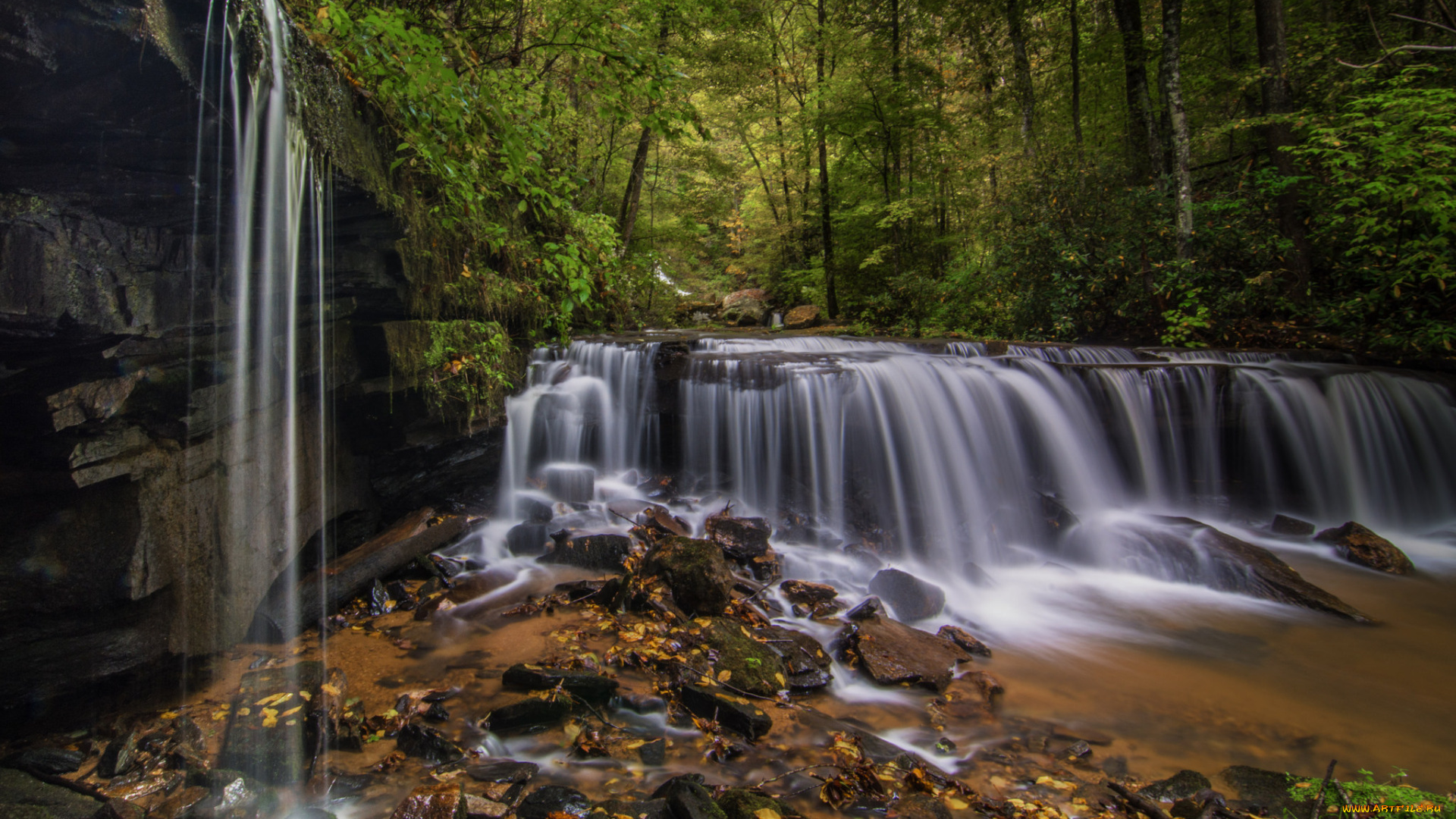 природа, водопады, водопад, река, лес