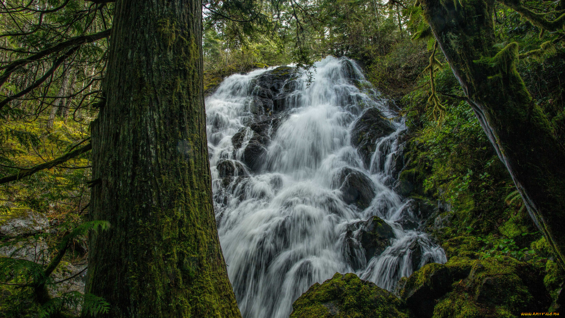 природа, водопады, водопад, река, лес