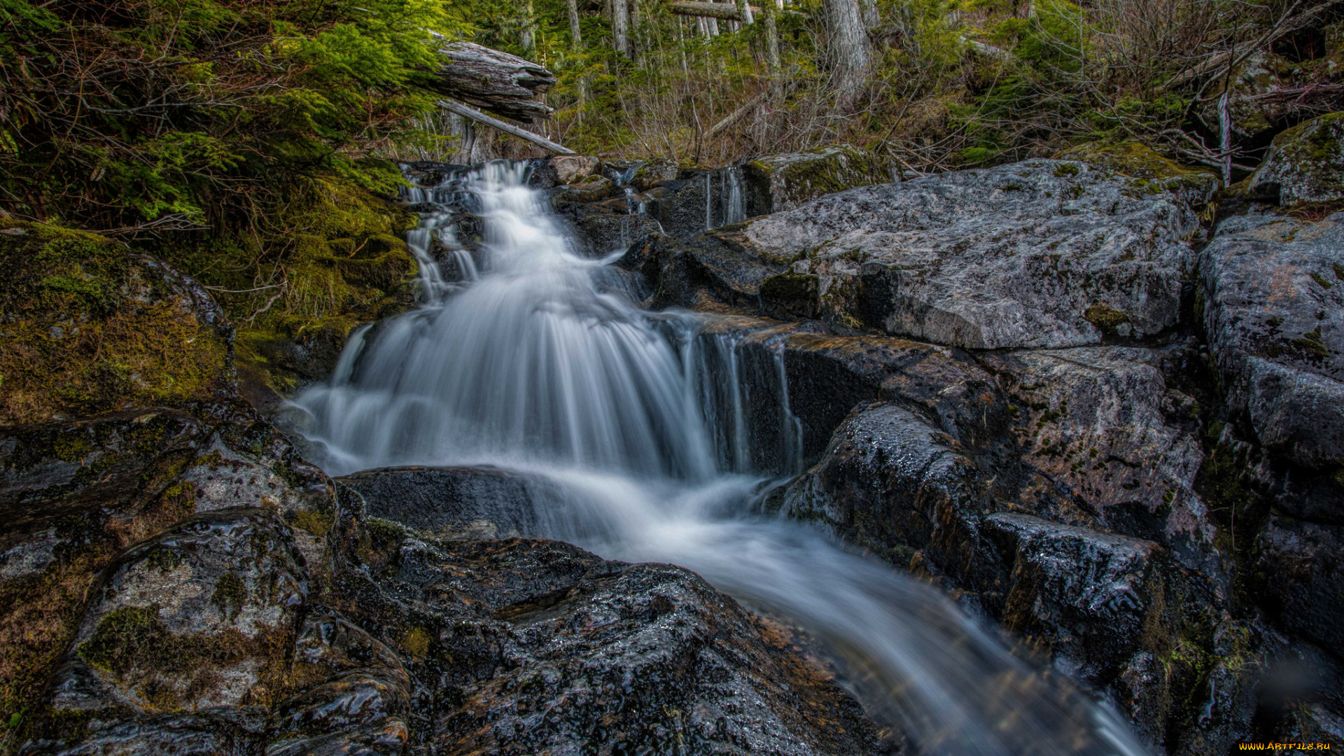 природа, водопады, водопад, река, лес
