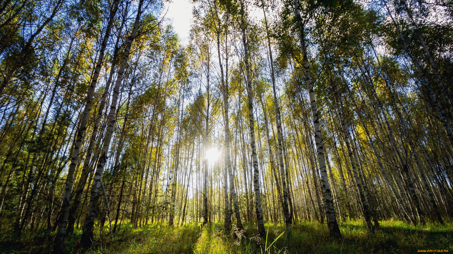 природа, восходы, закаты, утро