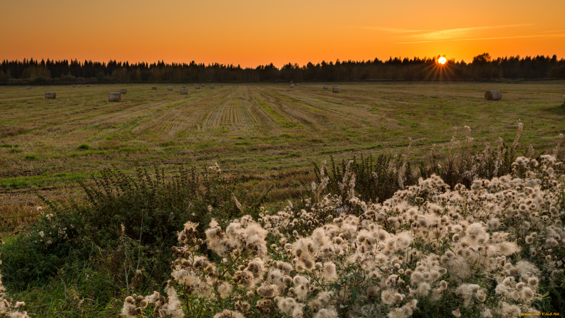природа, восходы, закаты, закат
