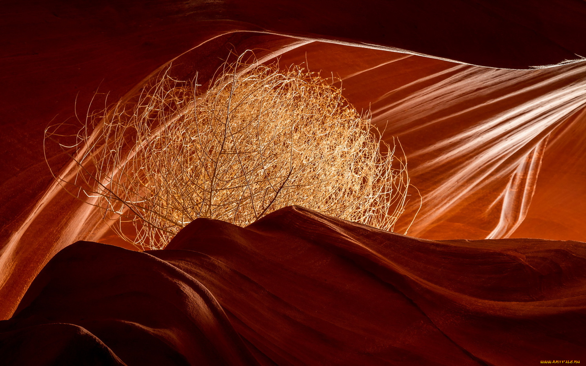 природа, горы, antelope, canyon, цвет