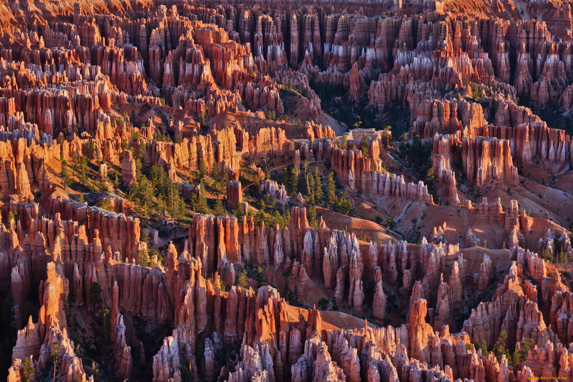 природа, горы, bryce, canyon, national, park, сша, юта, деревья, скалы