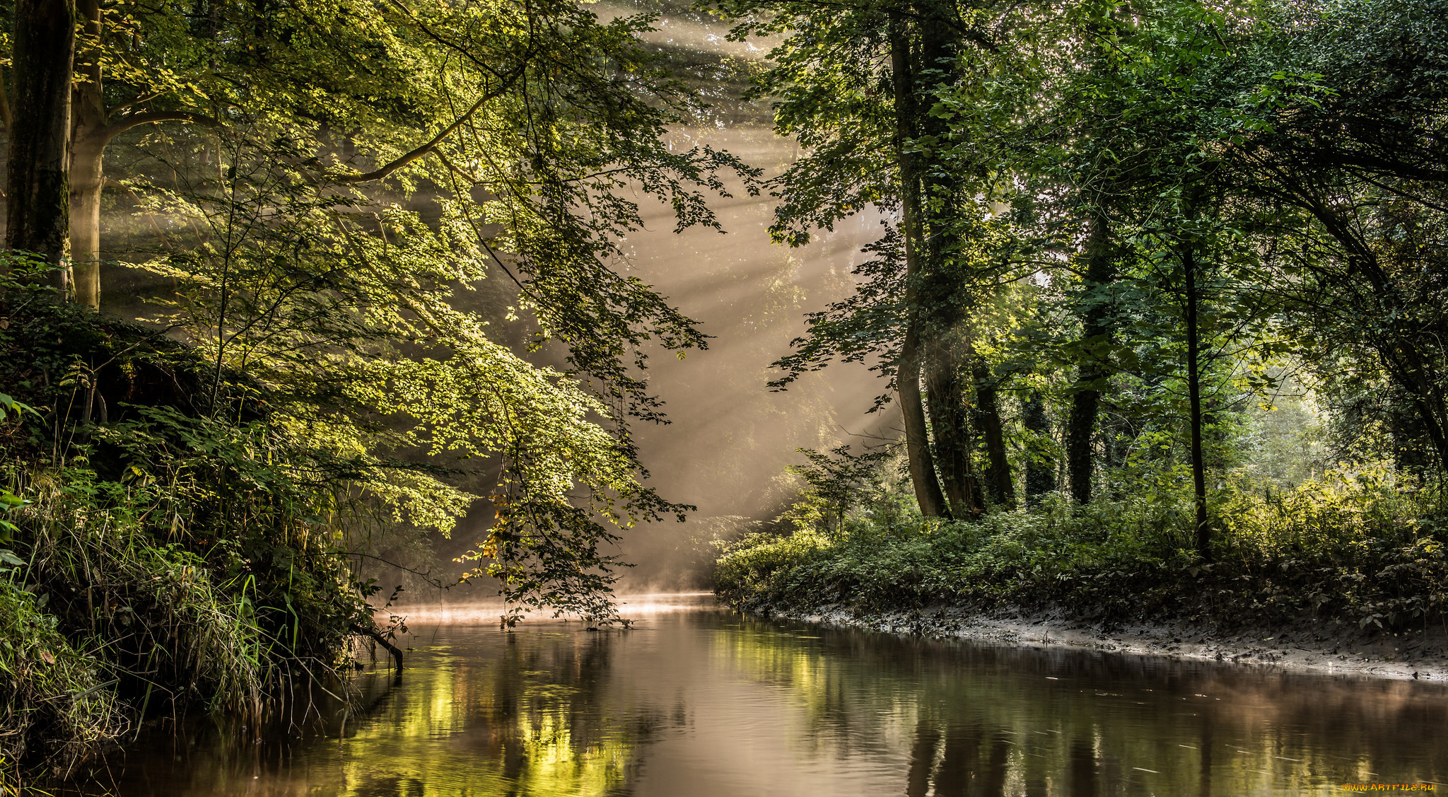 природа, реки, озера, река, лес