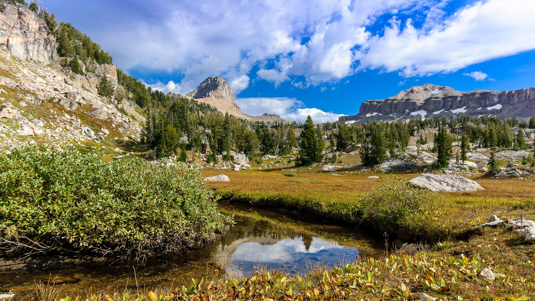 природа, реки, озера, река, лес