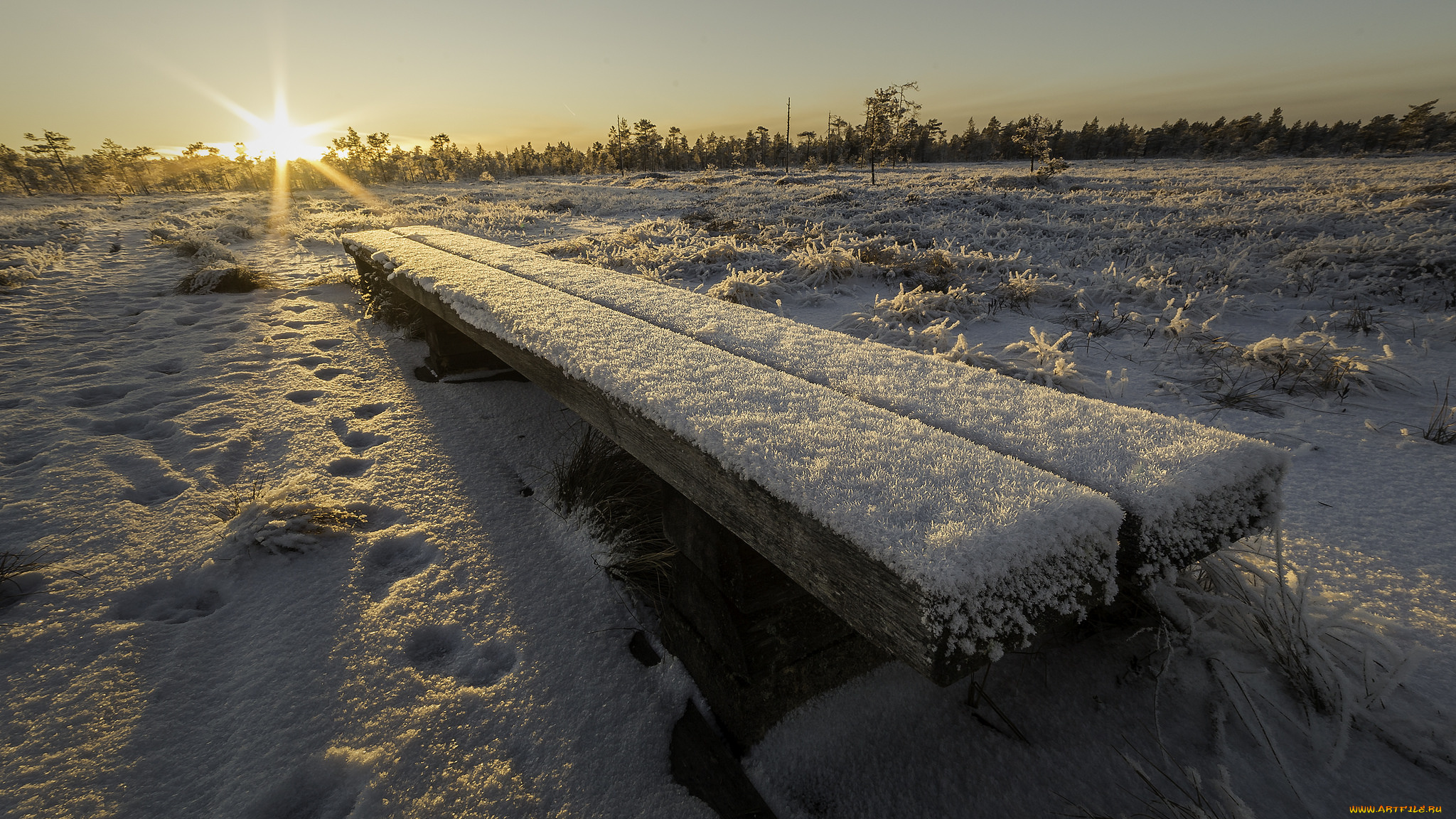 природа, зима, рассвет