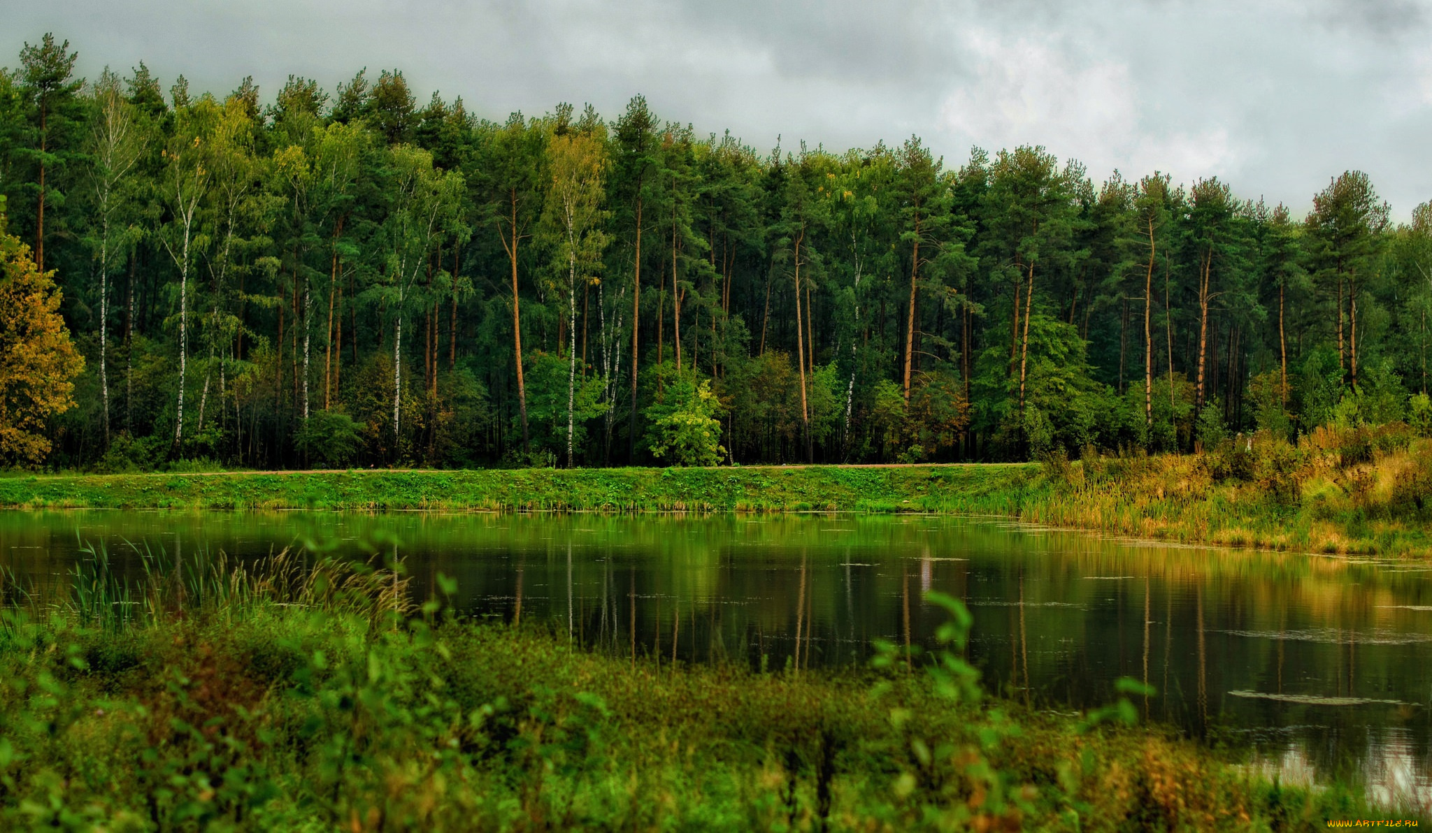 природа, реки, озера, река, лес