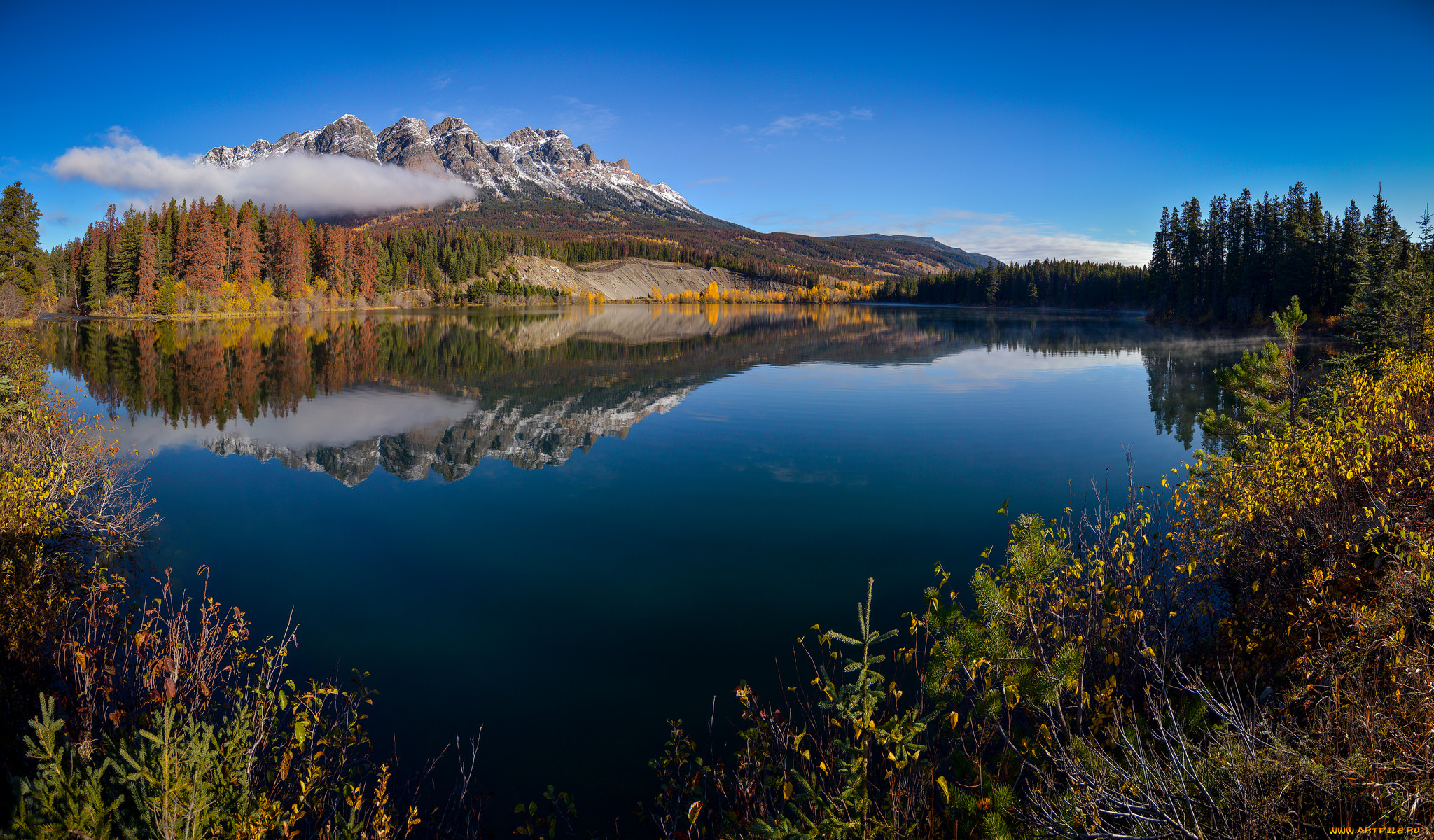 природа, реки, озера, лес, река, горы