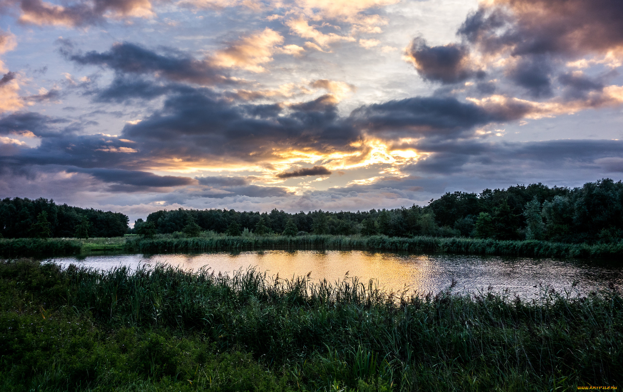 природа, реки, озера, река, лес