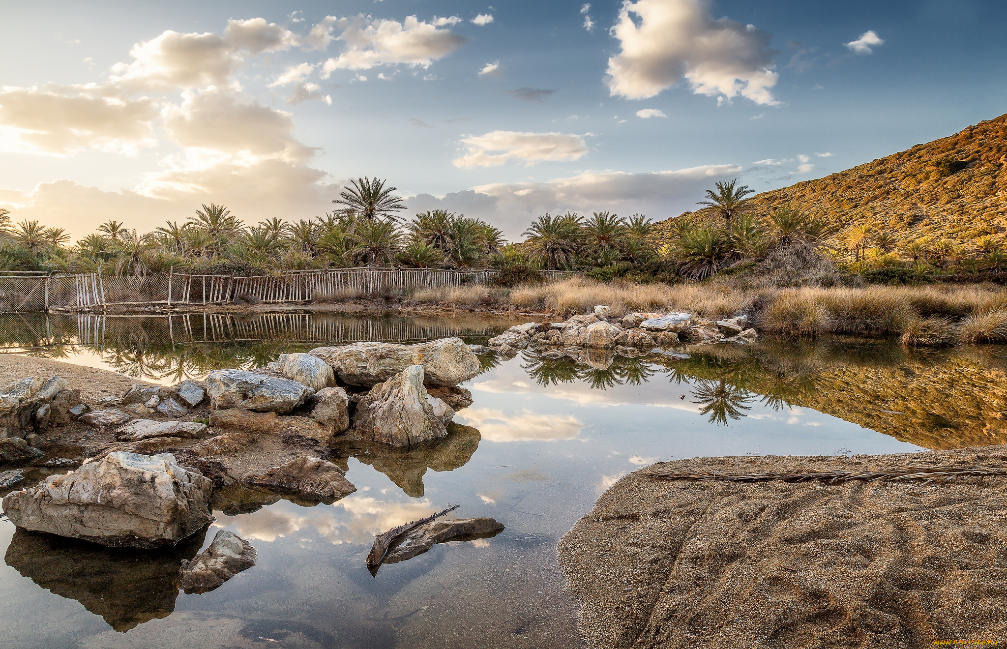 природа, тропики, река, пальмы