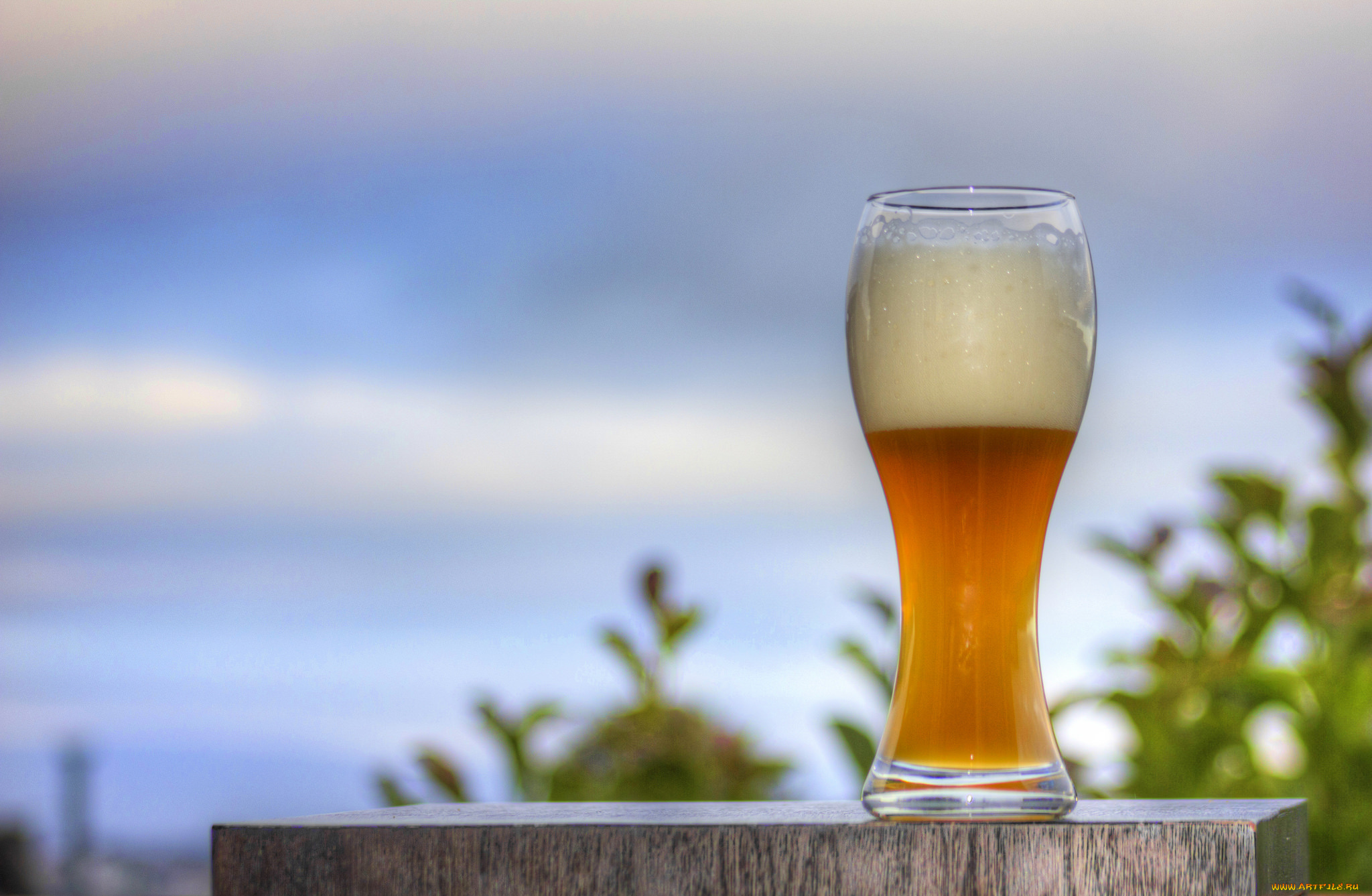 еда, напитки, , пиво, бокал, пиво