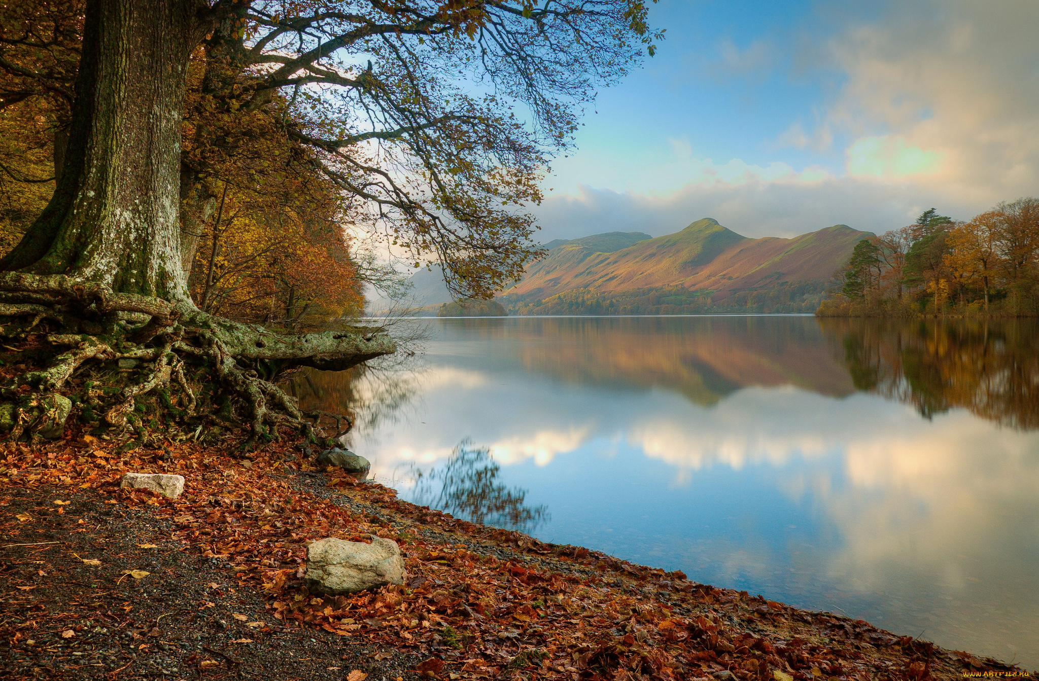 природа, реки, озера, лес, река