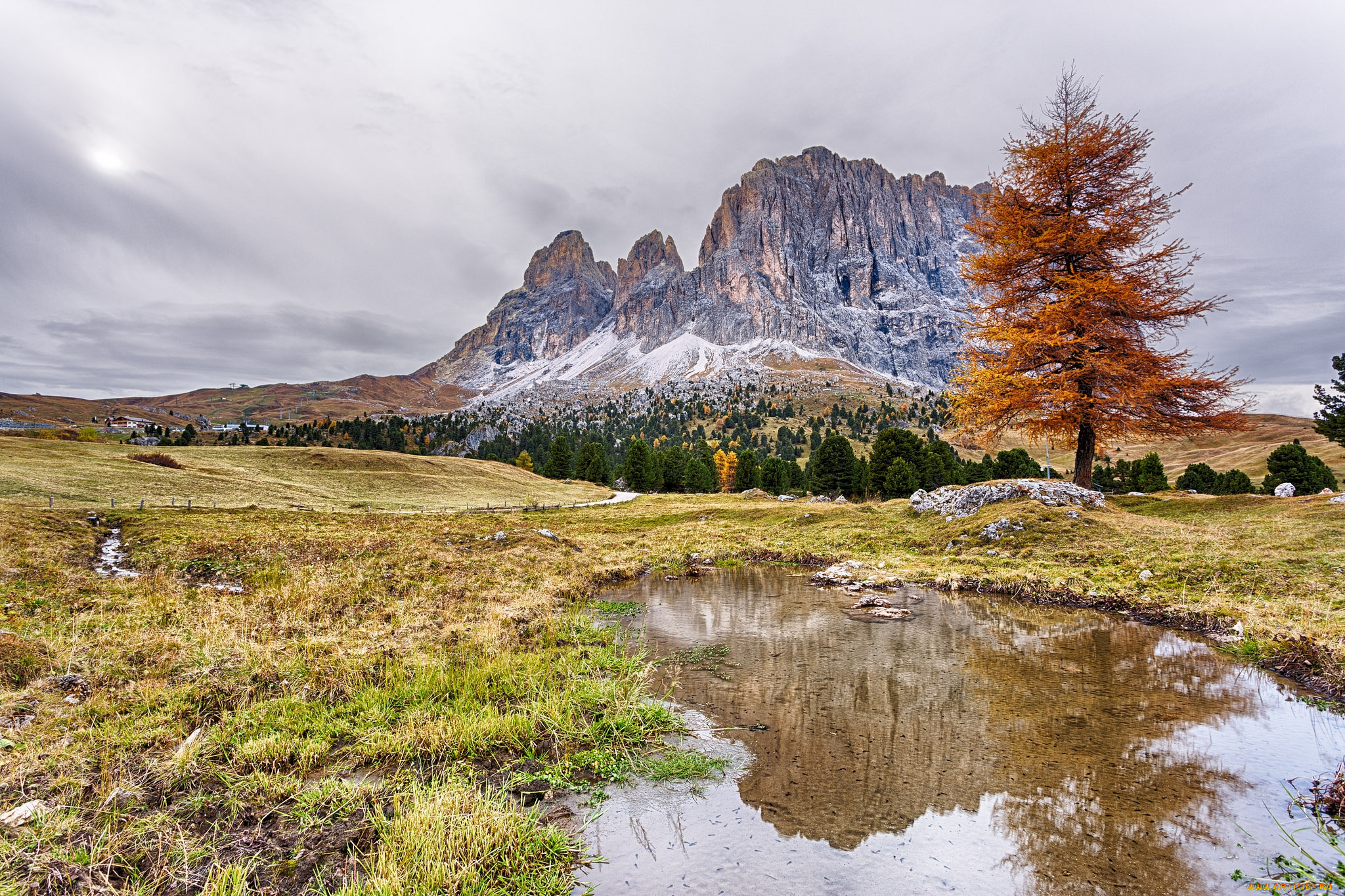 природа, пейзажи, лужа, горы, поле