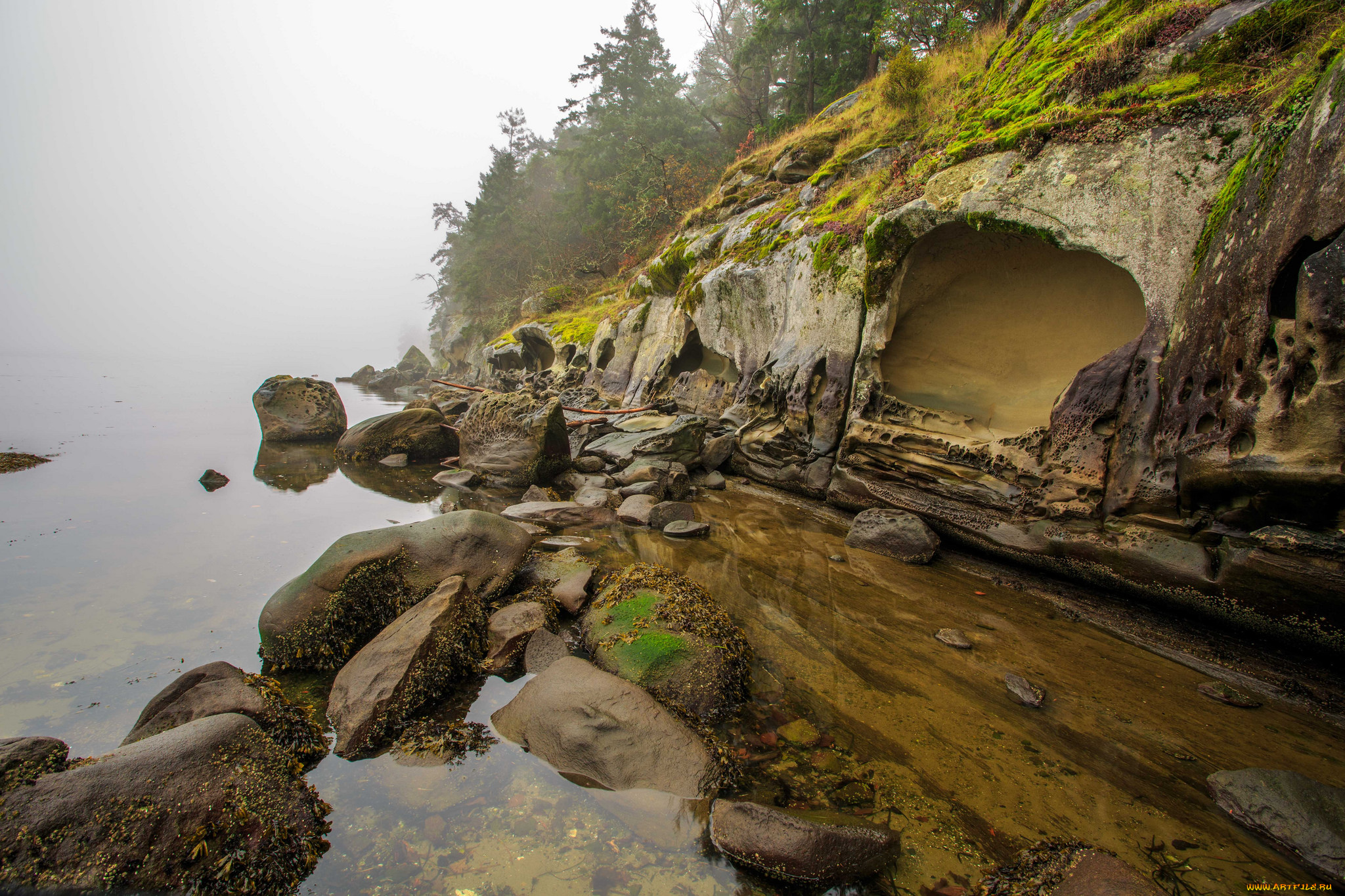 природа, побережье, грот, скалы