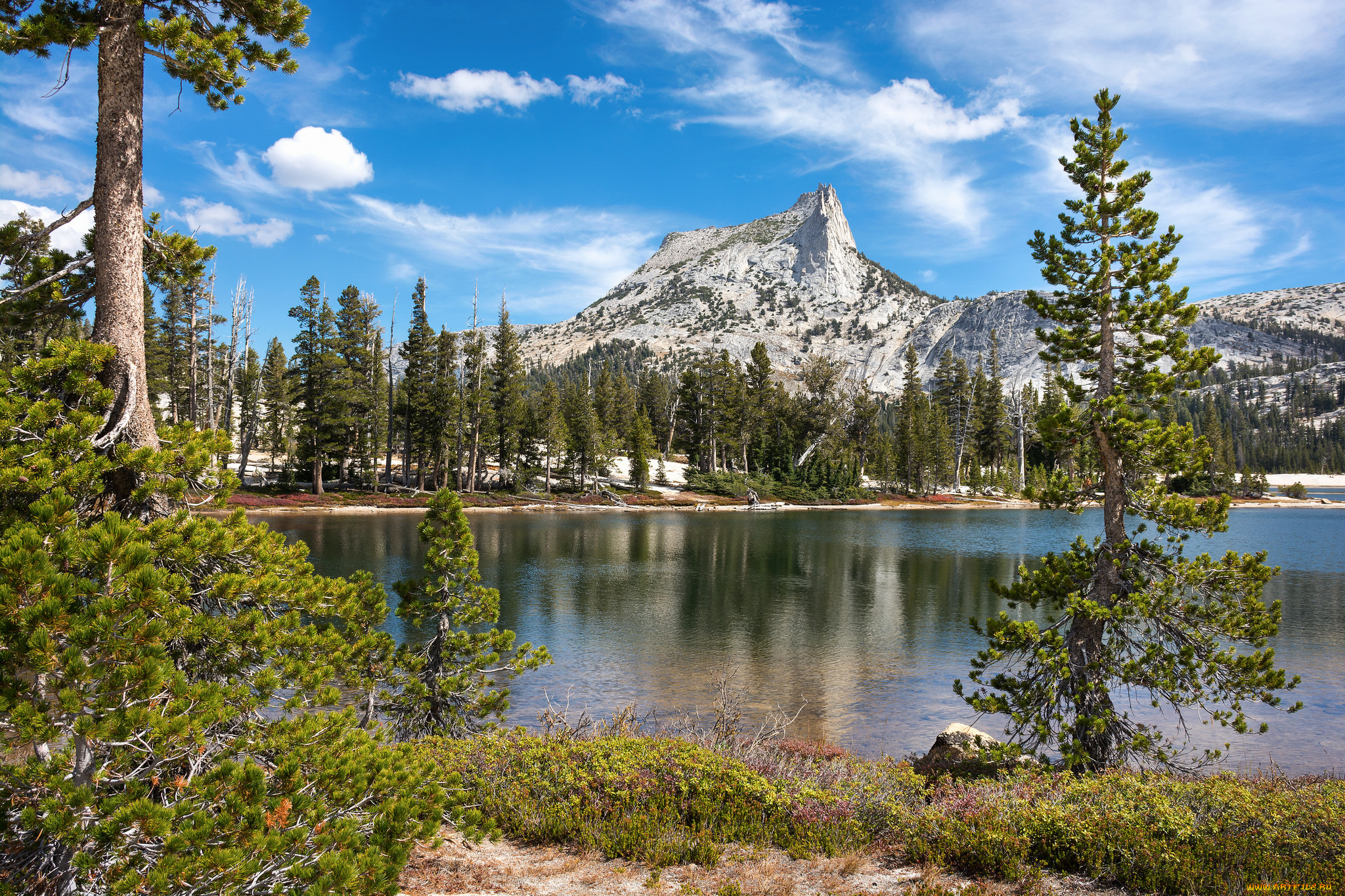 природа, реки, озера, горы, река, лес