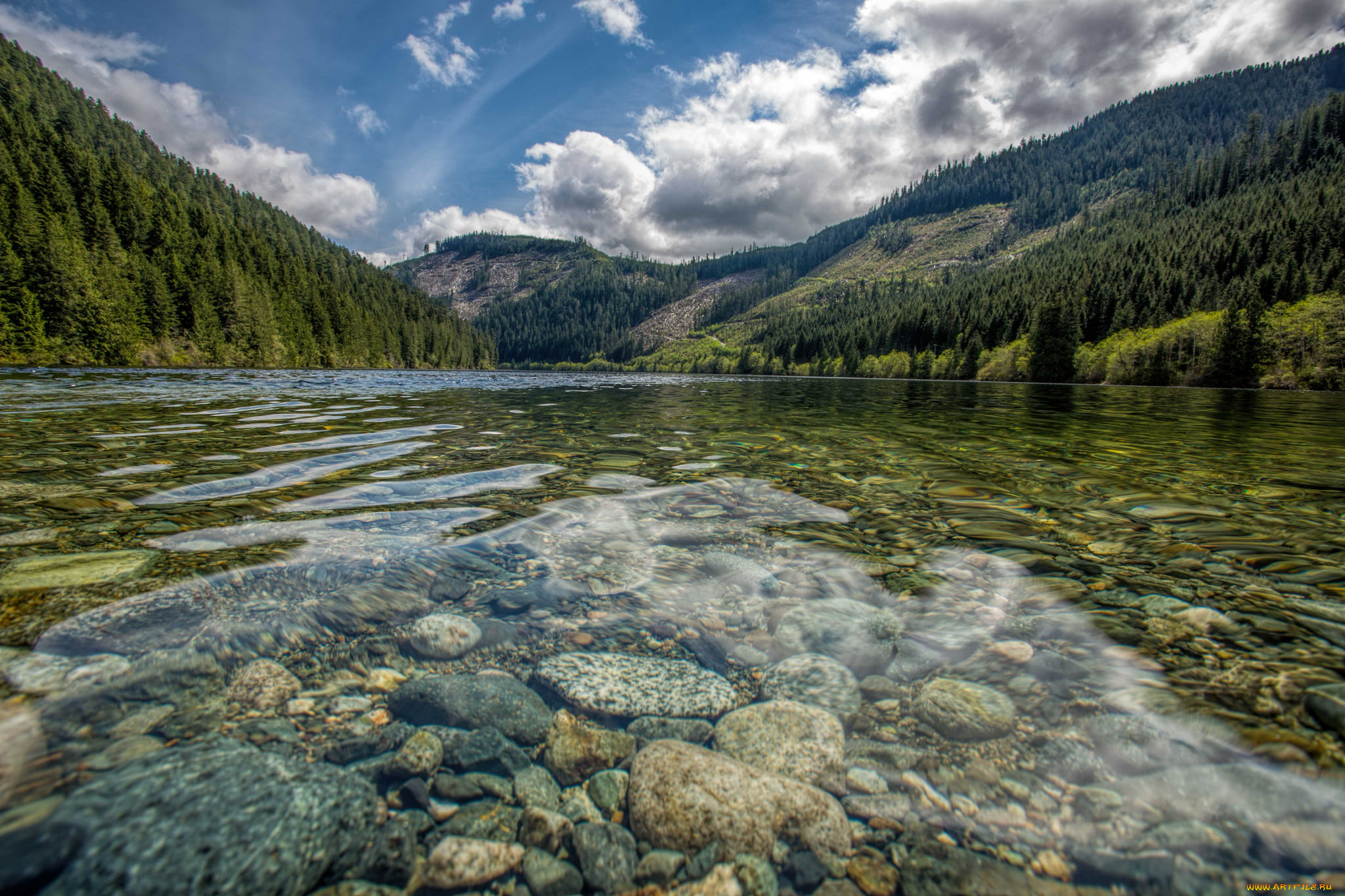 природа, реки, озера, лес, горы, река